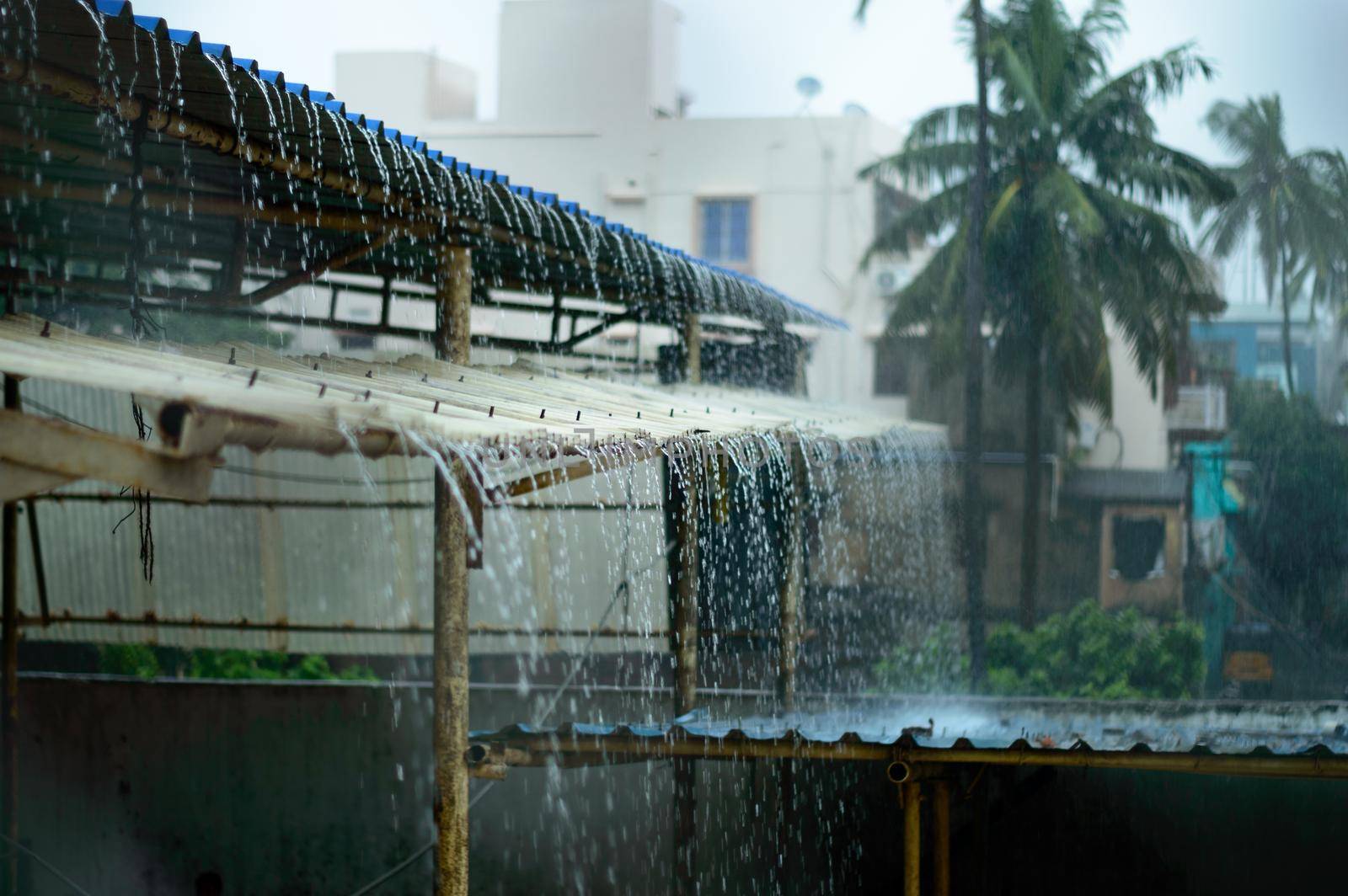 Rain on a Tin Roof. Rain Falling from the Roof. Rainy day nature background. Selective Focus on Foreground by sudiptabhowmick