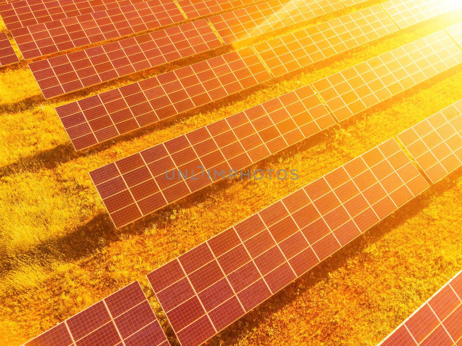 Aerial top view of a solar panels power plant. Photovoltaic solar panels at sunrise and sunset in countryside from above. Modern technology, climate care, earth saving, renewable energy concept. by panophotograph