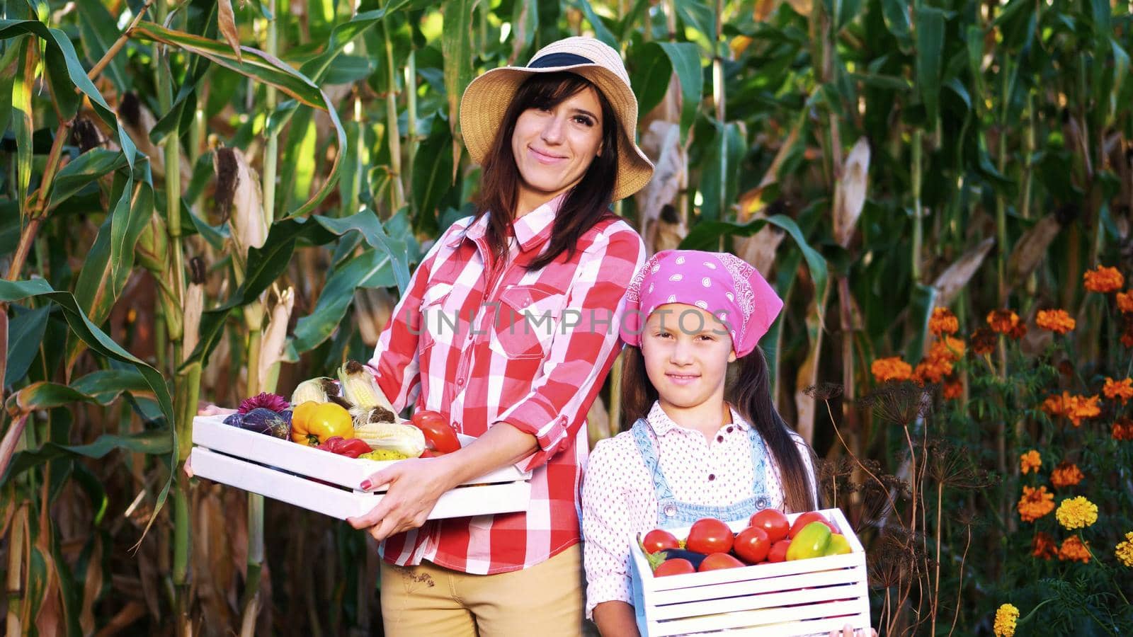portrait of smiling farmers family , mother and daughter holding wooden boxes with different fresh vegetables, harvest on farm, sunny summer day. background of cornfield,. High quality photo