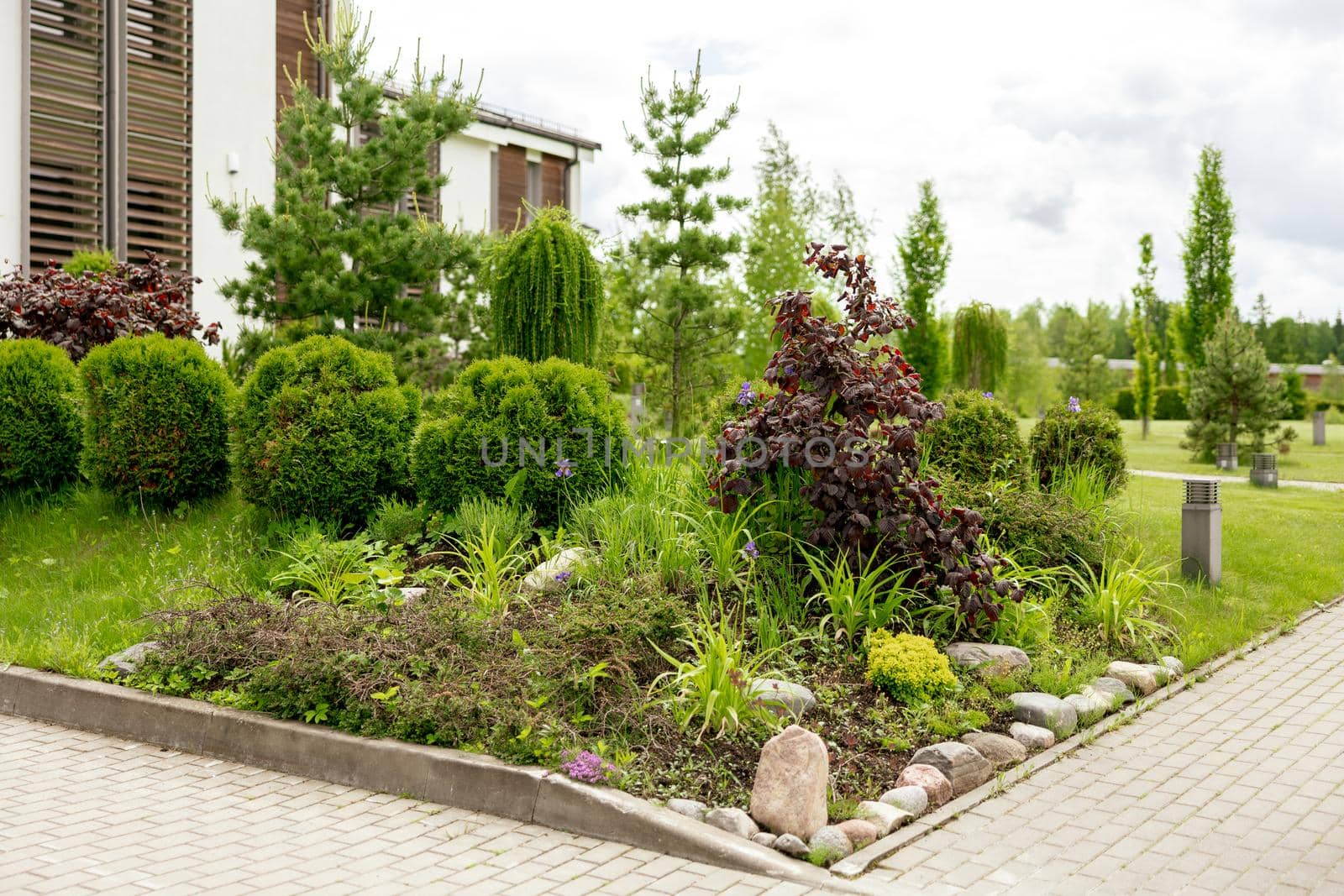 Various plants and stones in front of modern house, front yard. Landscape design. Beautiful garden. Modern urban living residences with private courtyards. Green outdoor facilities, lawn. Garden care