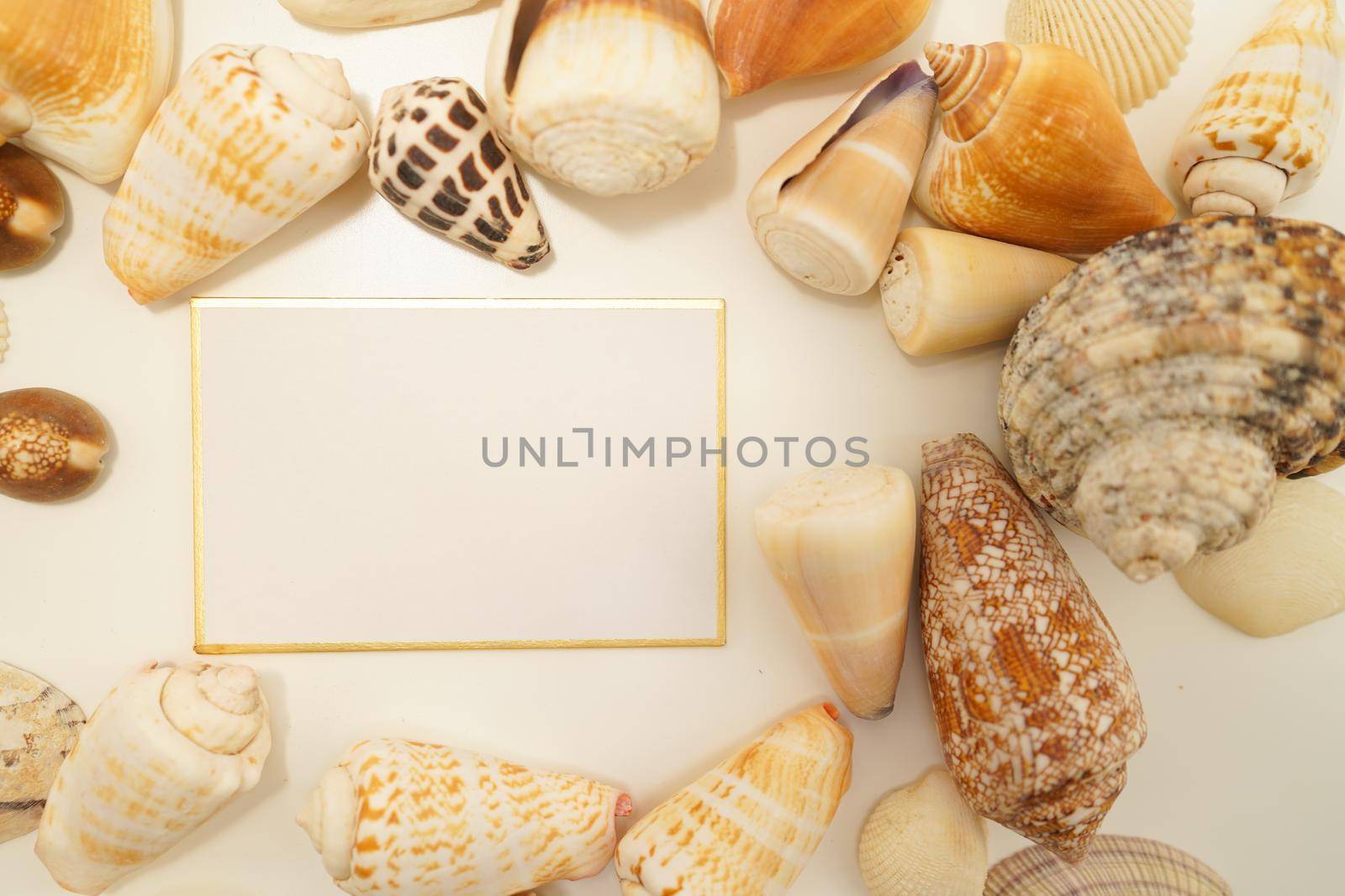 Scattered seashell (with text space). Shooting Location: Kamakura City, Kanagawa Prefecture