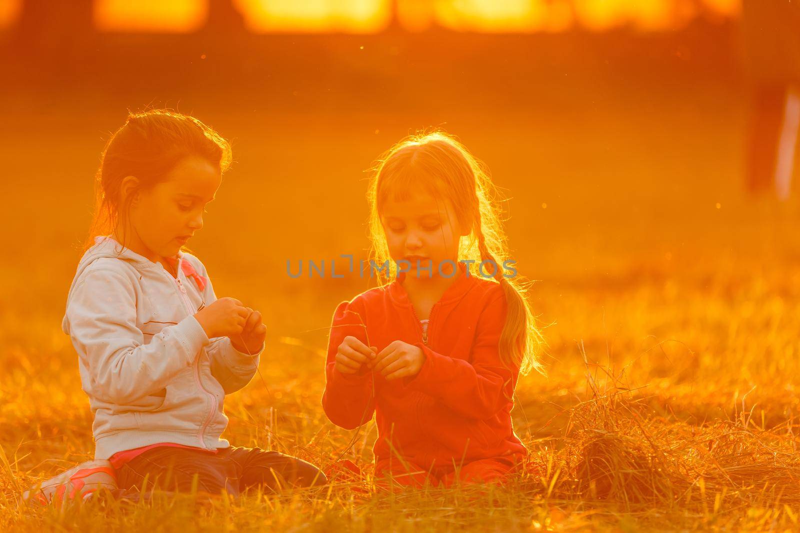 Adorable little girls having fun playing outdoors on summer day.