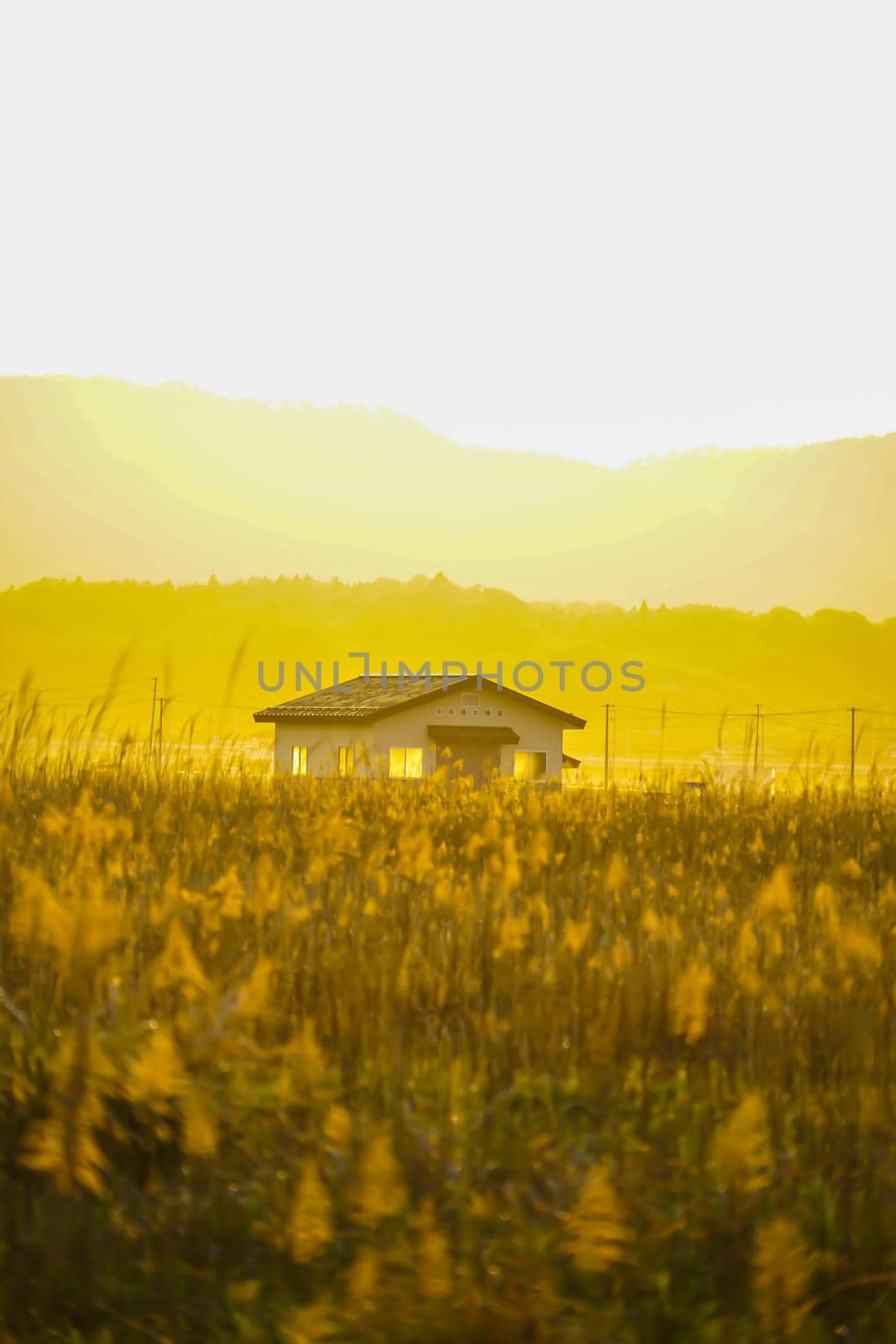 Susukino field and sun and houses. Shooting Location: Miyagi Prefecture Yamamoto-cho
