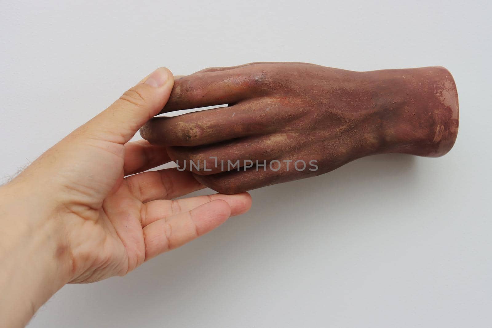 A living human hand touches an artificial plastic hand on a white background.