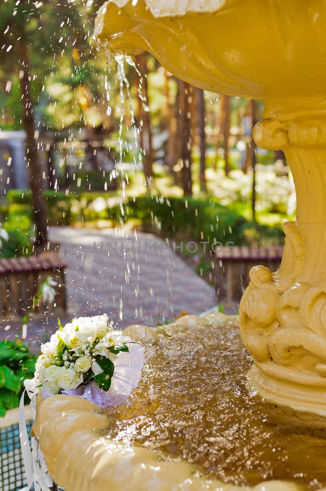 The Wedding Bridal Bouquet Of White Roses Lies In An Old Fountain Under Splashes And Drops Of Water. by Andrii_Ko