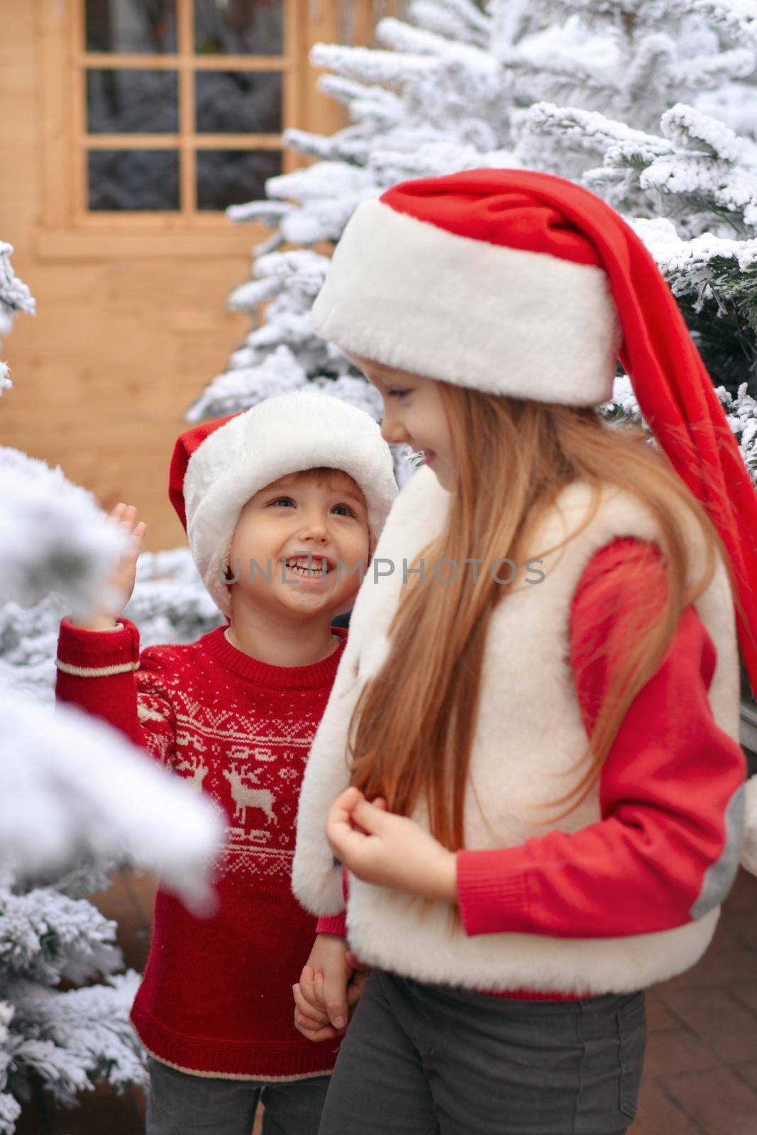 Children choose a Christmas tree at a market.