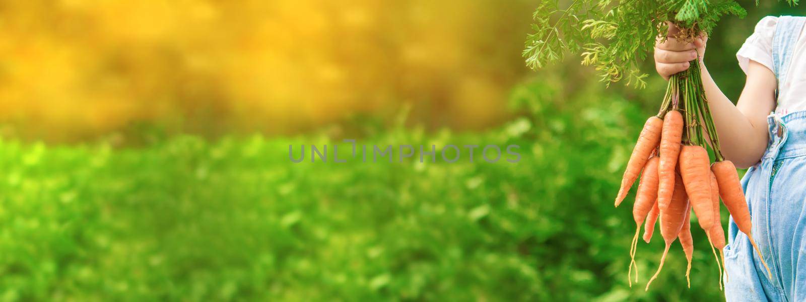 Child and vegetables on the farm. Selective focus. nature.