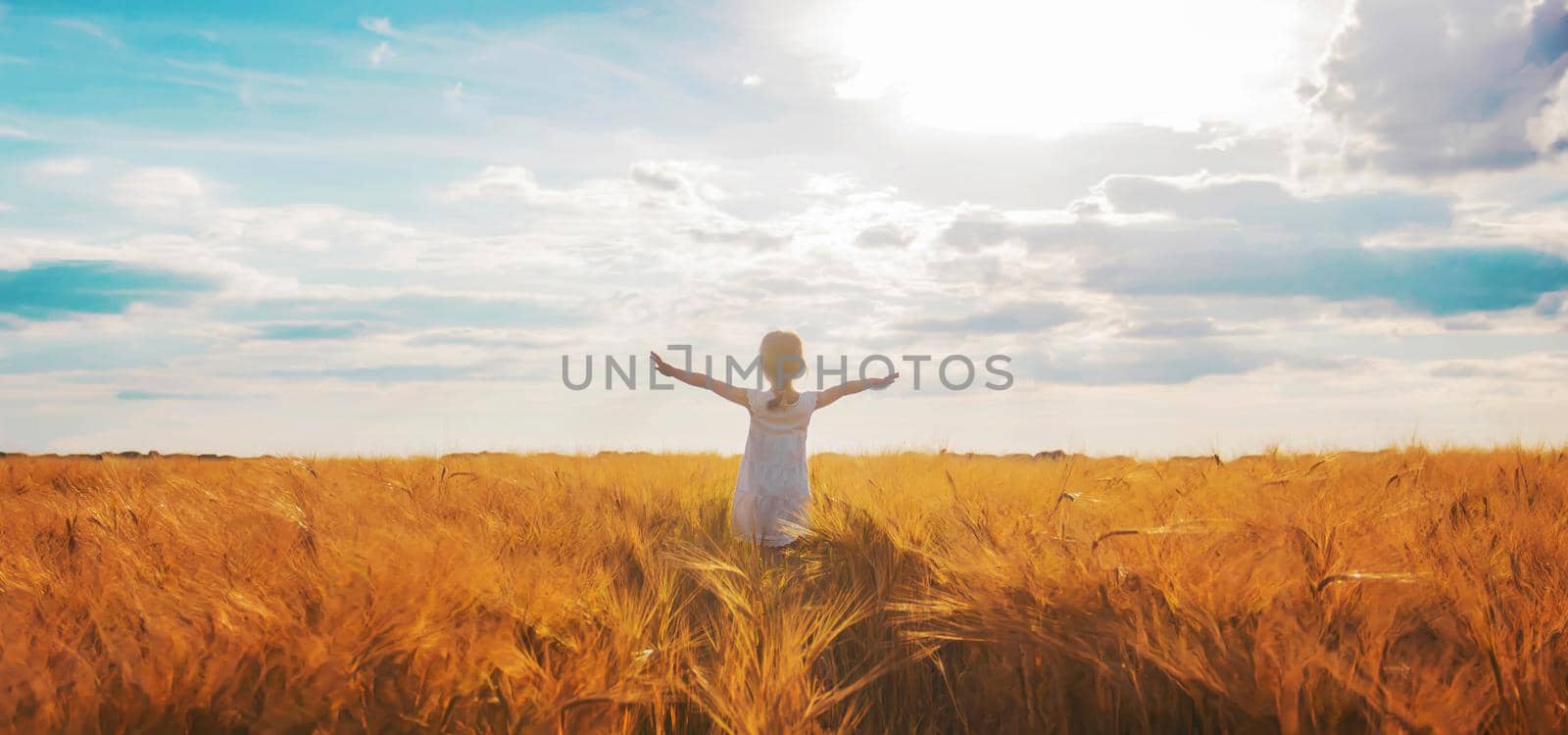 child in a wheat field. selective focus. nature by yanadjana