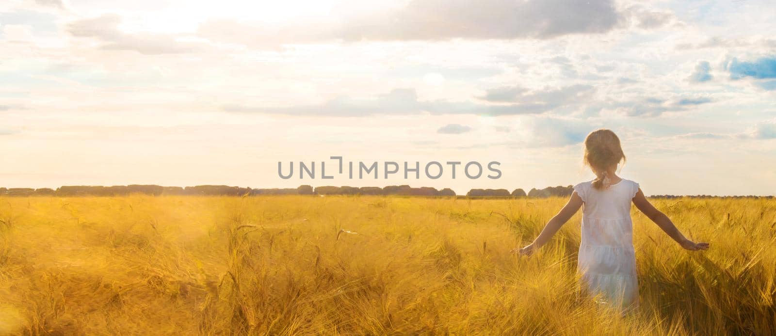 child in a wheat field. selective focus. nature by yanadjana