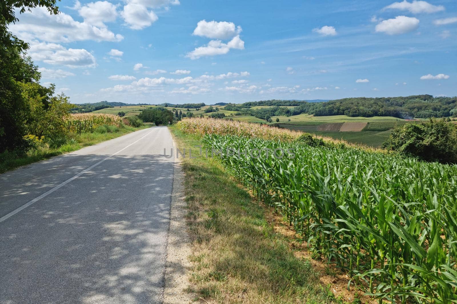 Road through scenic agricultural landscape view, Zaistovec village in northern Croatia