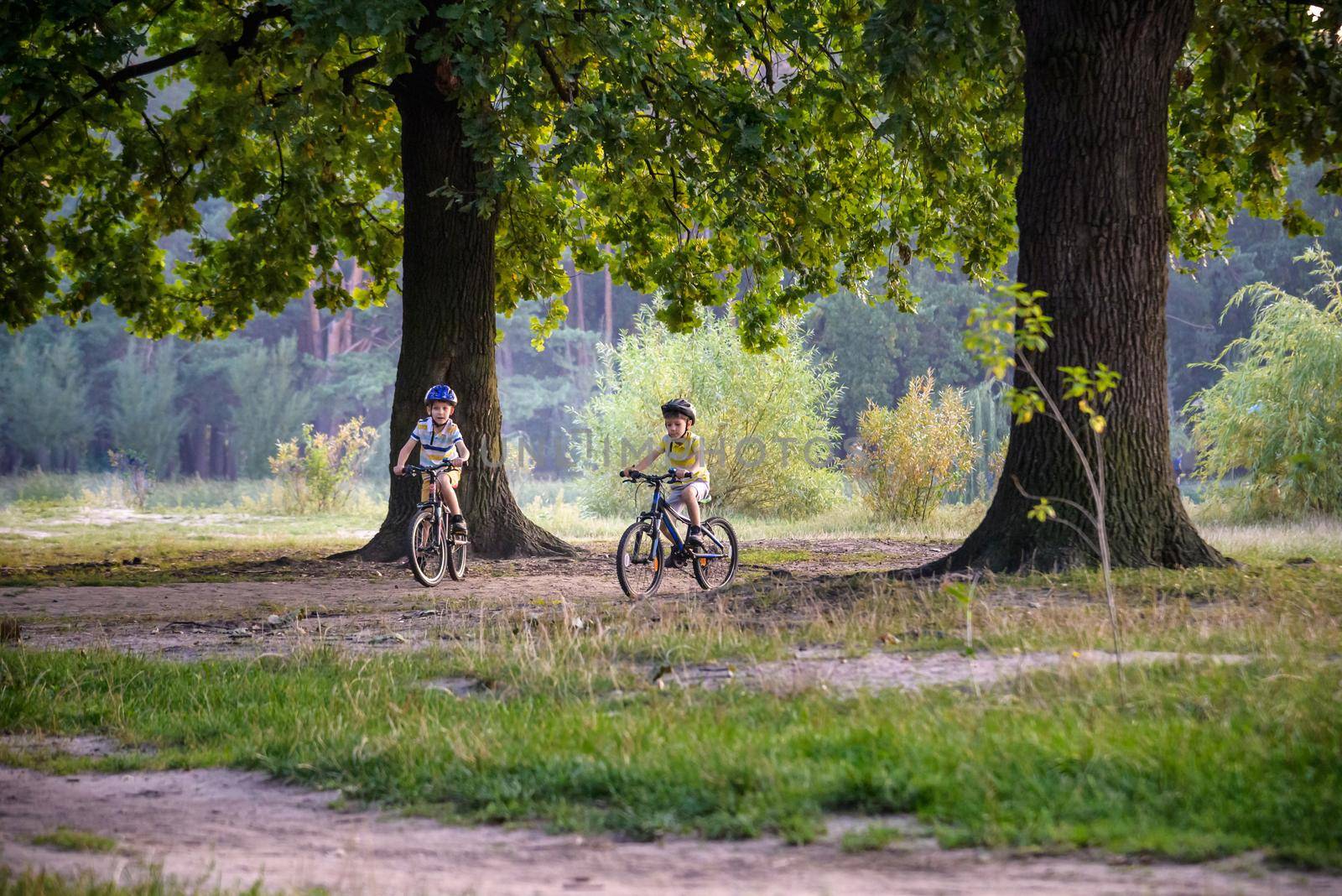 Two little kid boys in colorful casual clothes in summer forest park driving bicycle. Active children cycling on sunny fall day in nature. Safety, sports, leisure with kids concept.