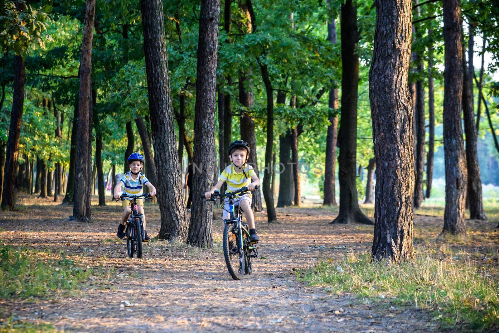 Two little boys children having fun on Balance Bike on a country road. Healthy lifestyle concept