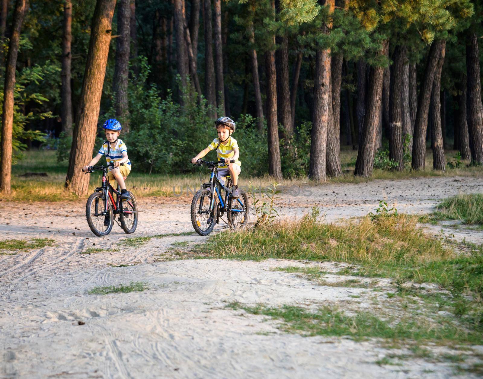 Two active little sibling boys having fun on bikes in forest on warm day. Healthy leisure with children concept.