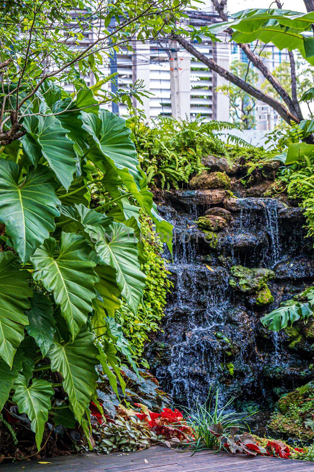 water fall with green leaf plant in tropical decoration graden landscape design environment.