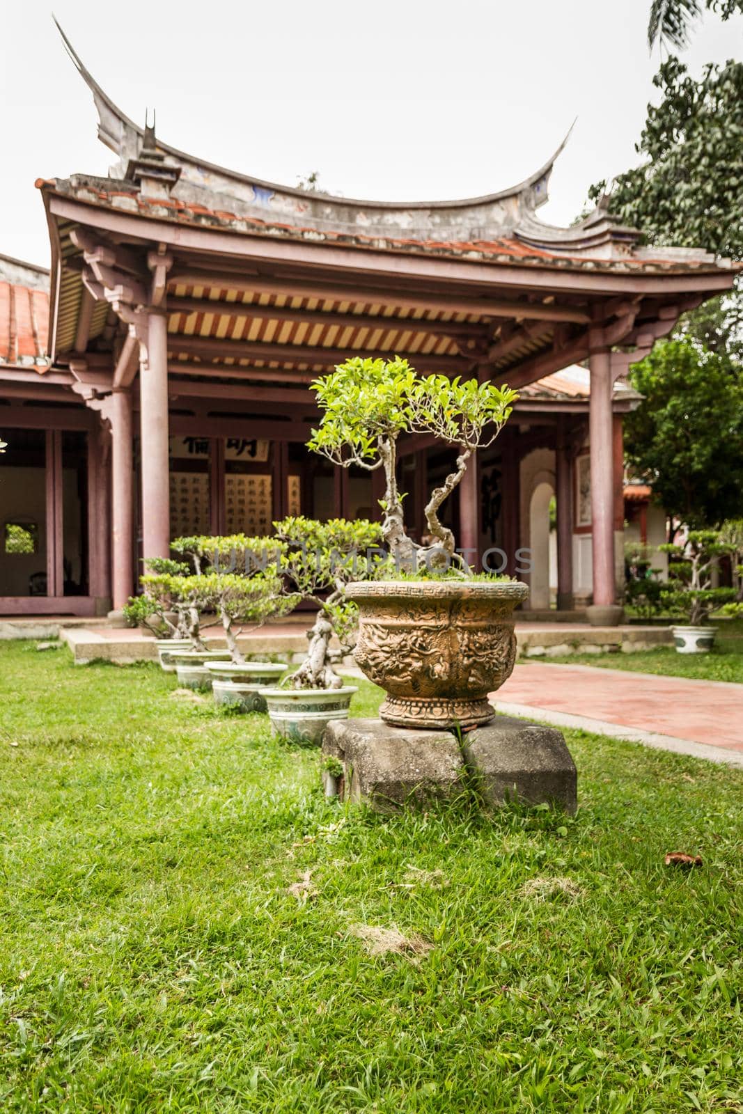 Row of bonsai trees outside temple by imagesbykenny