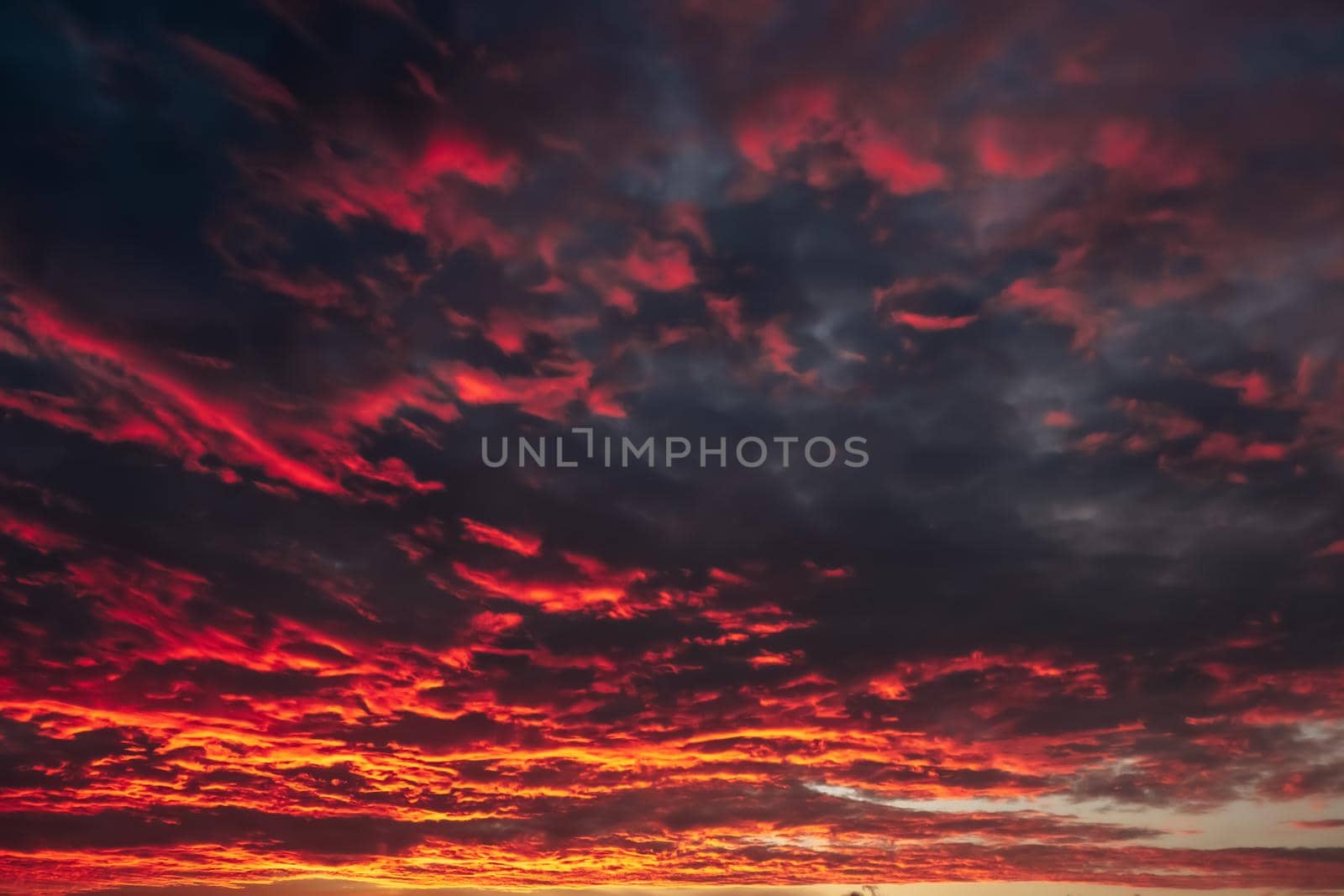 red fire blood sunset sky cloudscape beautiful phenomenon nature background