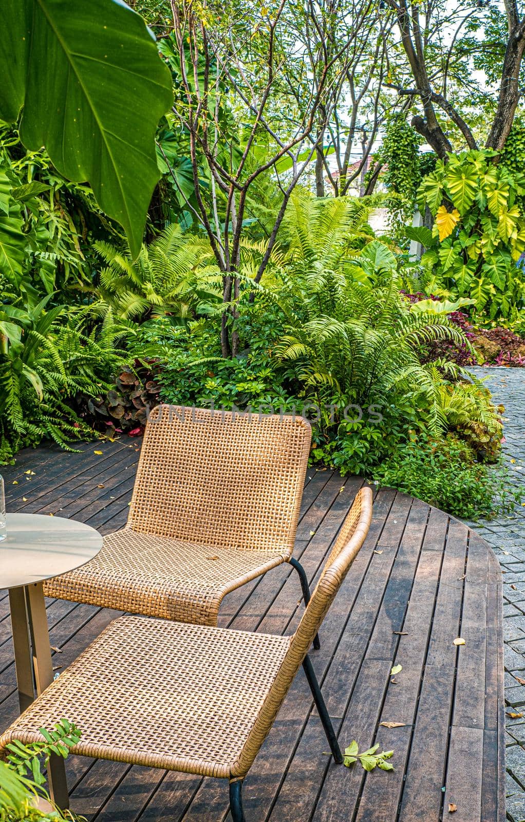 woven chair furniture in Green nature of Fern and trees in tropical garden