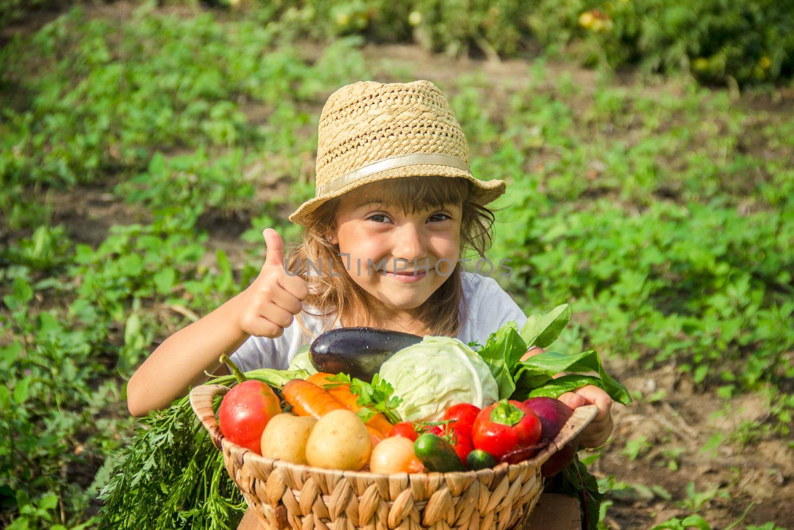 Child and vegetables on the farm. Selective focus. nature.