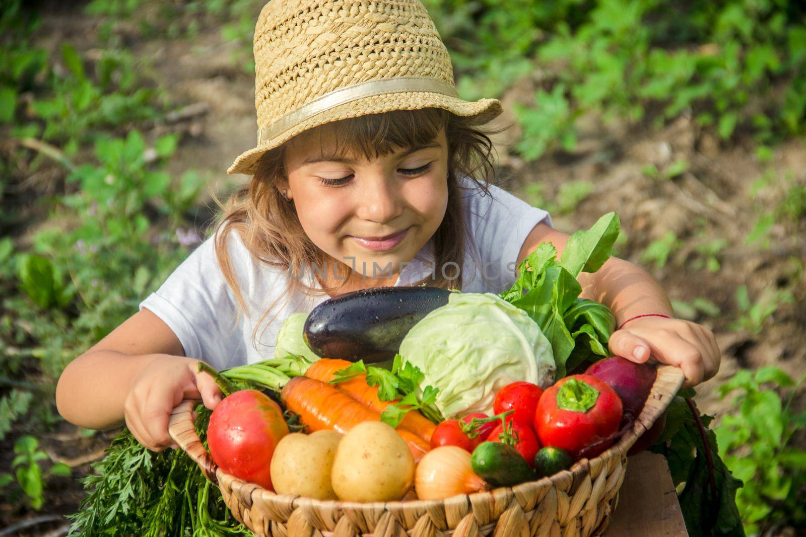 Child and vegetables on the farm. Selective focus. nature.