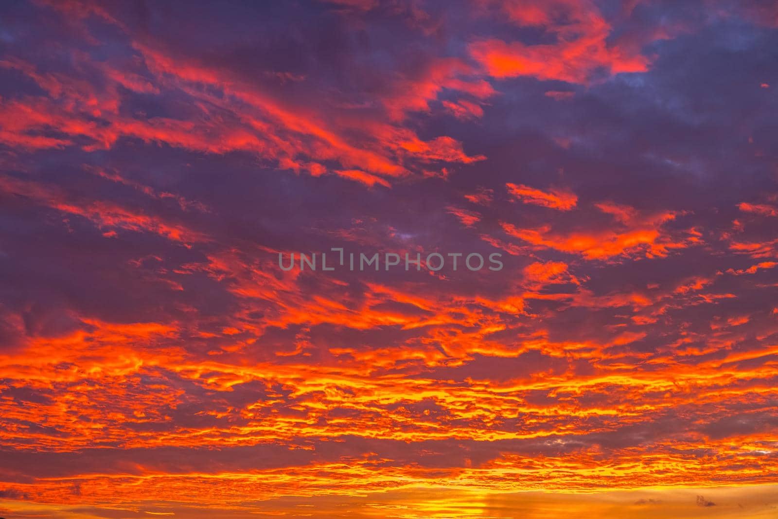 red fire blood sunset sky cloudscape beautiful phenomenon nature background