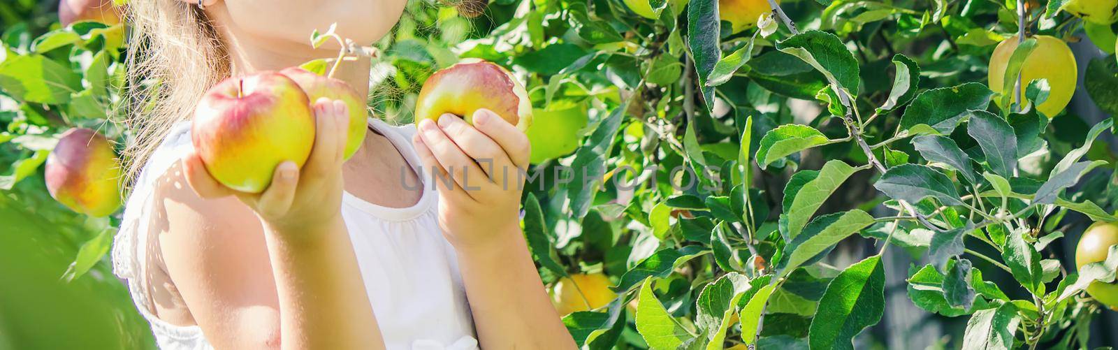 Child with Child with an apple. Selective focus. Garden Food