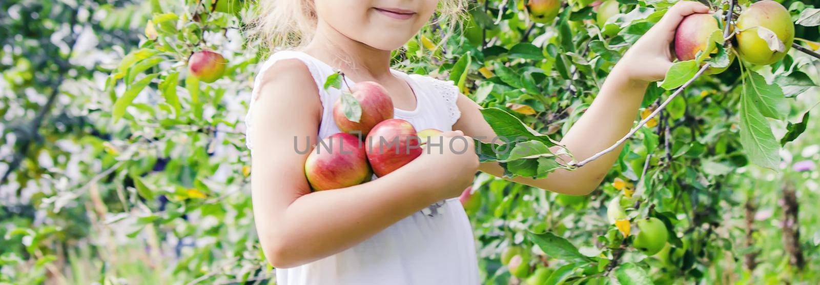 Child with Child with an apple. Selective focus. Garden Food