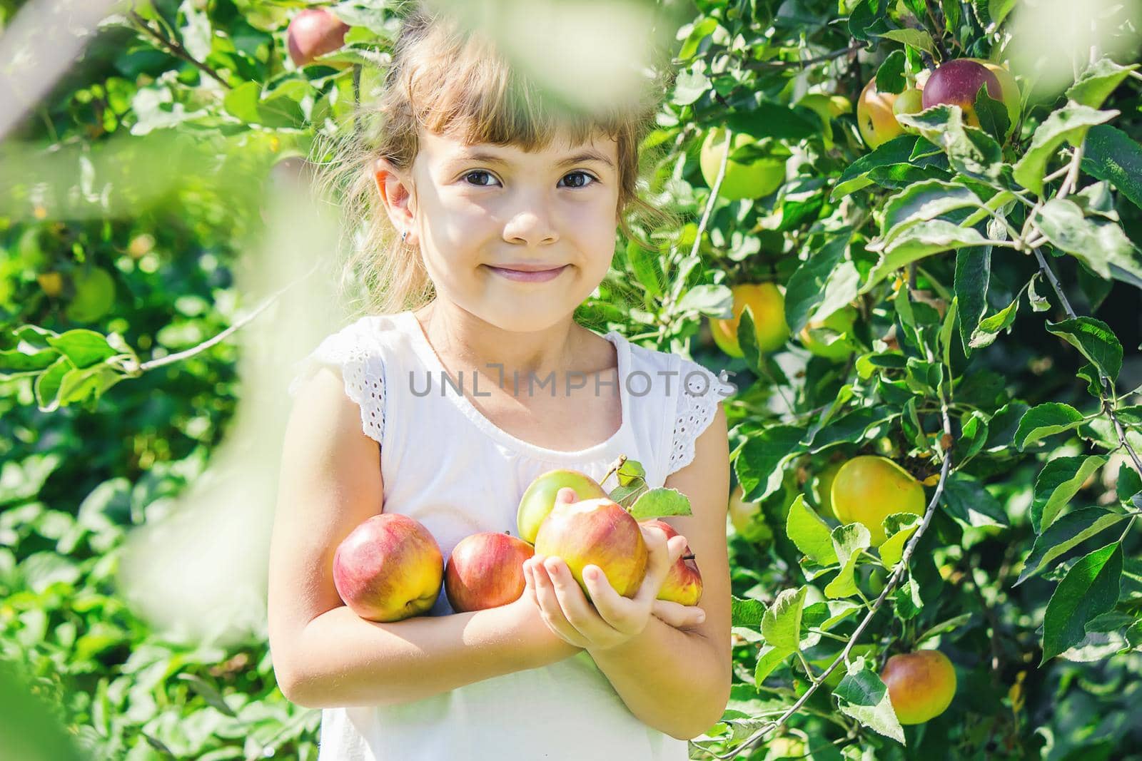 Child with Child with an apple. Selective focus. Garden Food