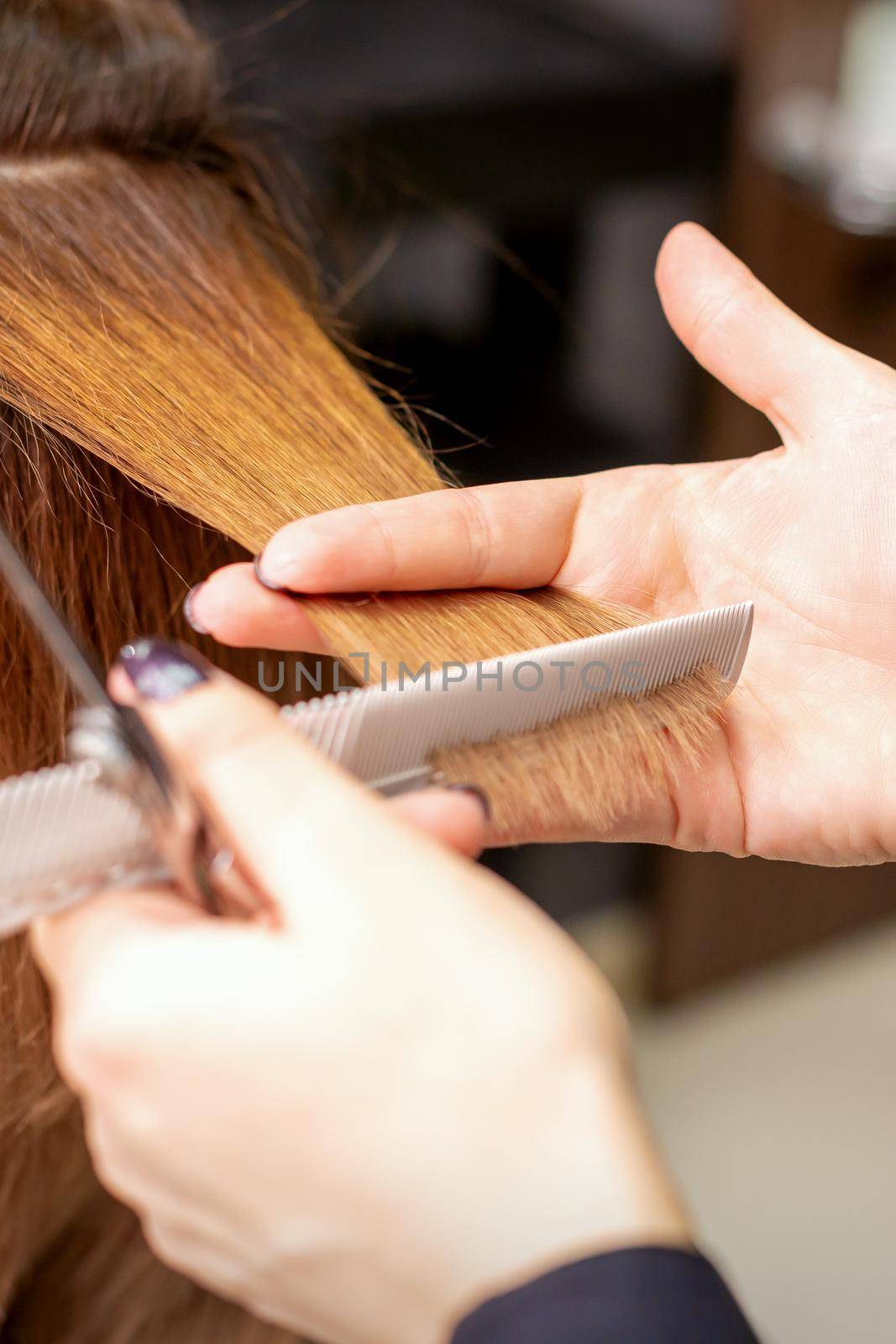 Hands of hairdresser hold hair strand between his fingers making haircut of long hair of the young woman with comb and scissors in hairdresser salon, close up. by okskukuruza