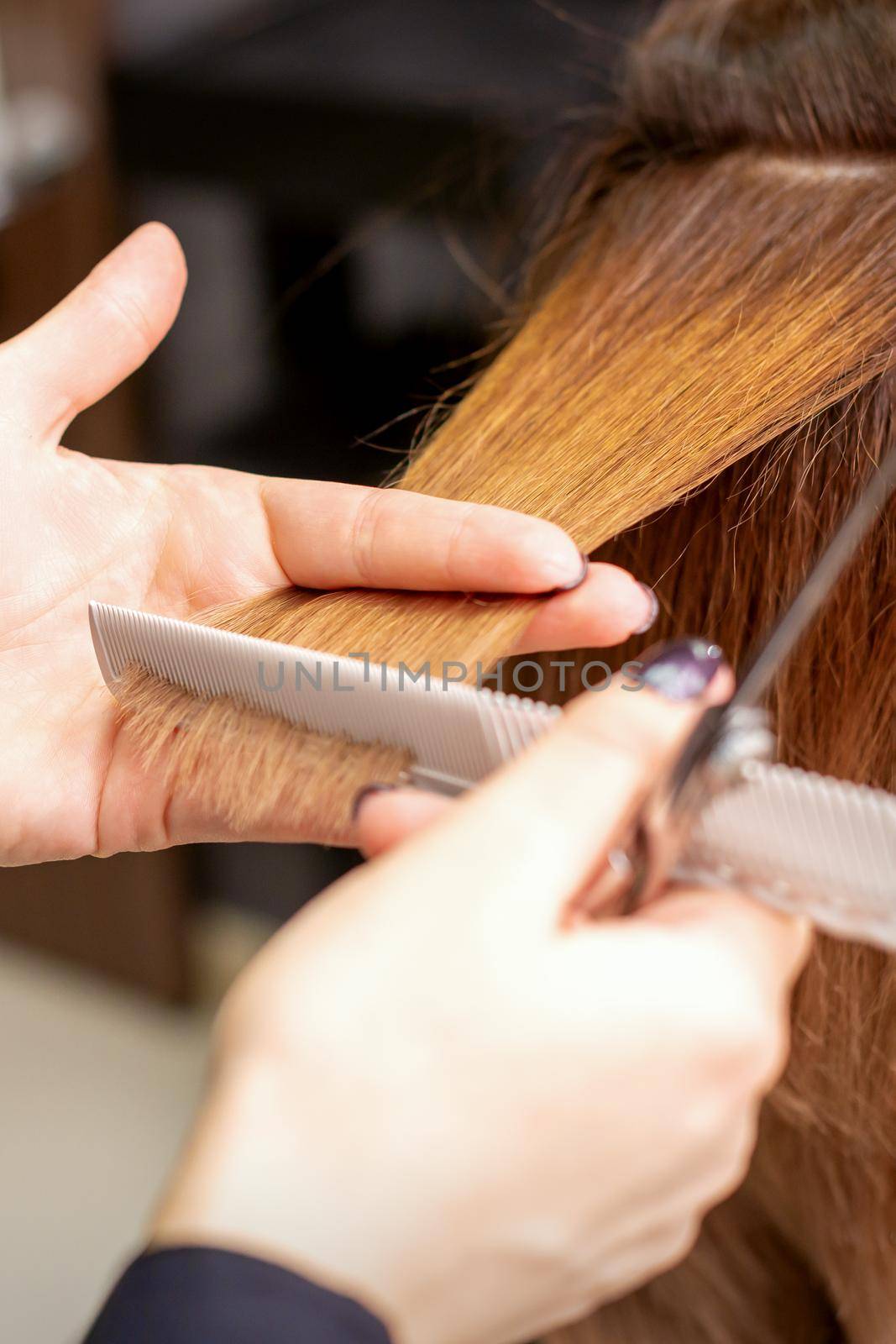 Hands of hairdresser hold hair strand between his fingers making haircut of long hair of the young woman with comb and scissors in hairdresser salon, close up. by okskukuruza