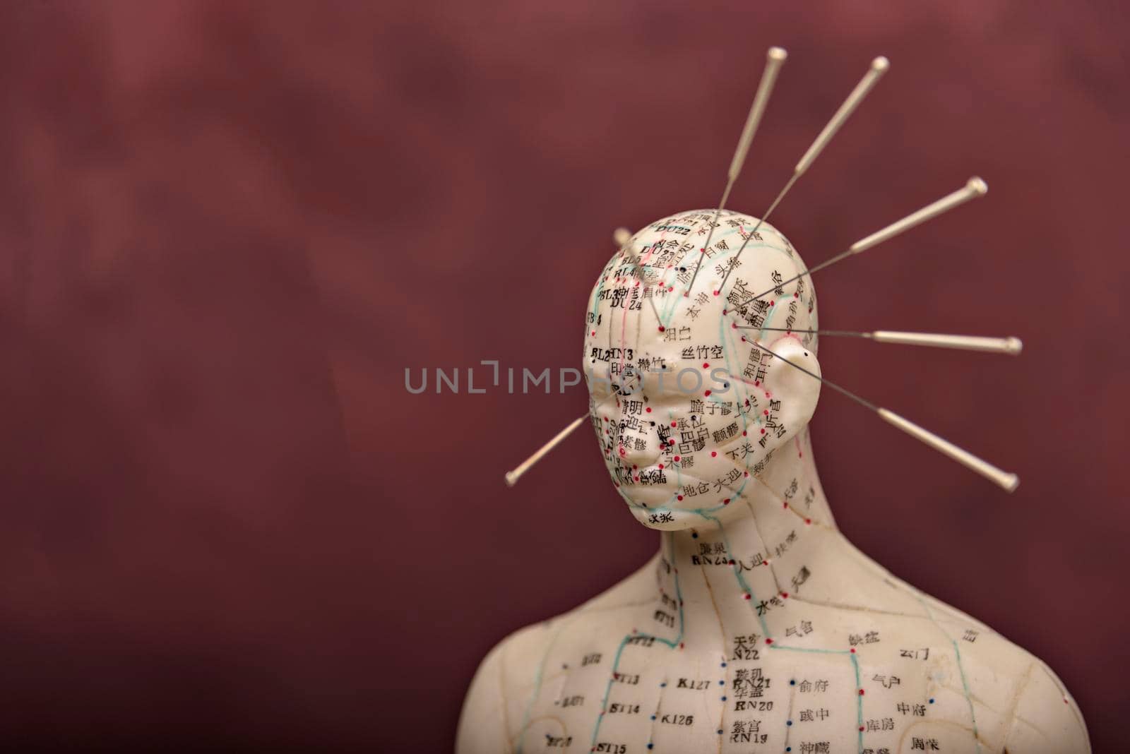 Mannequin with acupuncture points and meridians