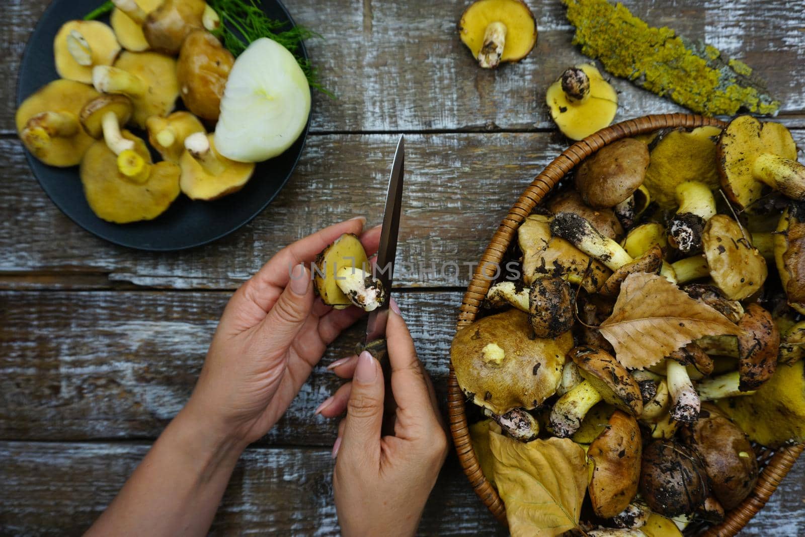 A knife is in women's hands, a woman is cleaning freshly picked mushrooms. There is a basket of mushrooms on a wooden table. Peeled mushrooms. Forest mushrooms are in the basket.