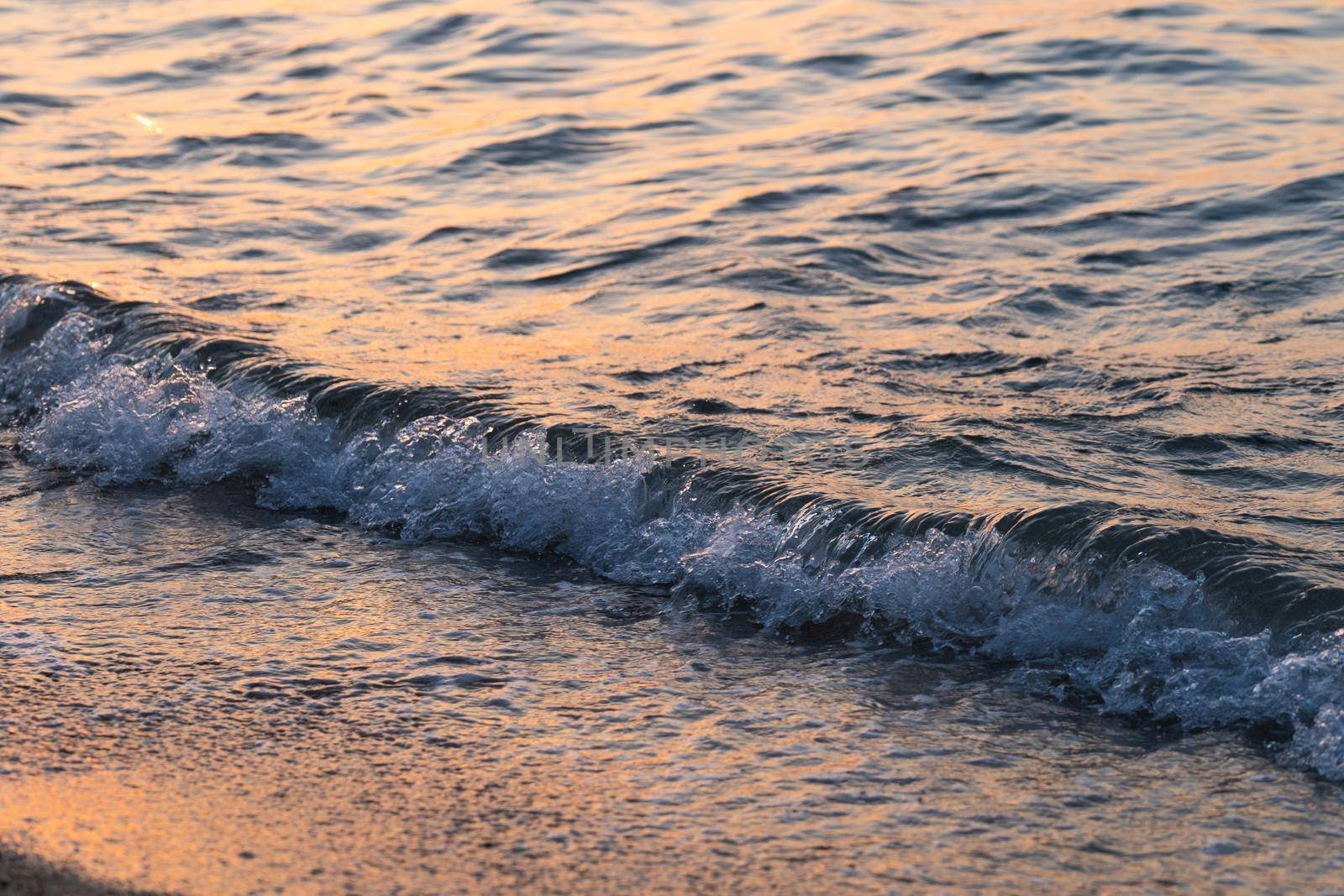 Sea wave splashes close up. Ripple sea ocean water surface with golden sunset light.