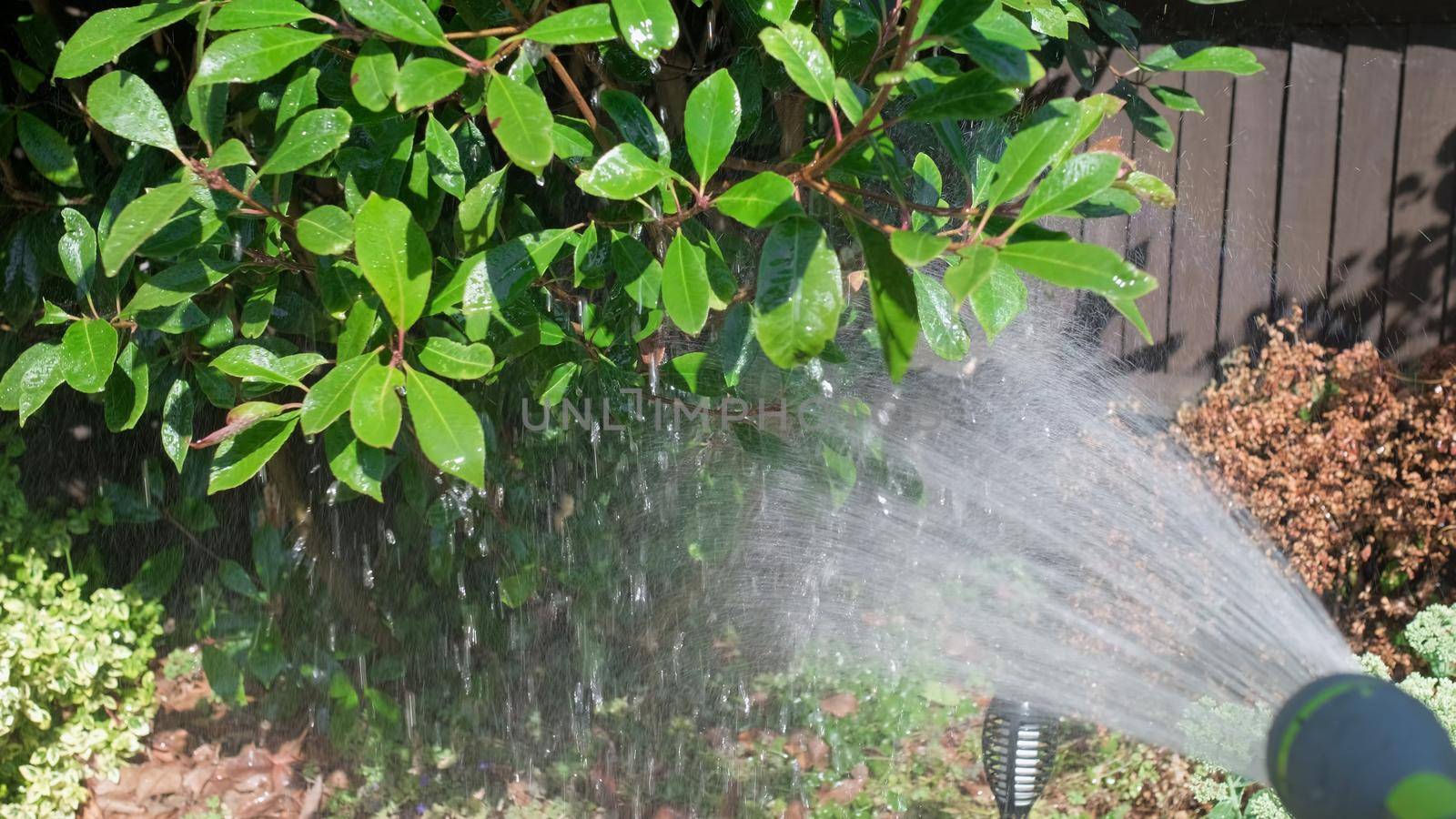 Funny little boy watering lawn plants in garden housing backyard. Adorable child playing with irrigation hose at hot sunny summer outdoors. Children help with housework. activity for kids. Childhood.