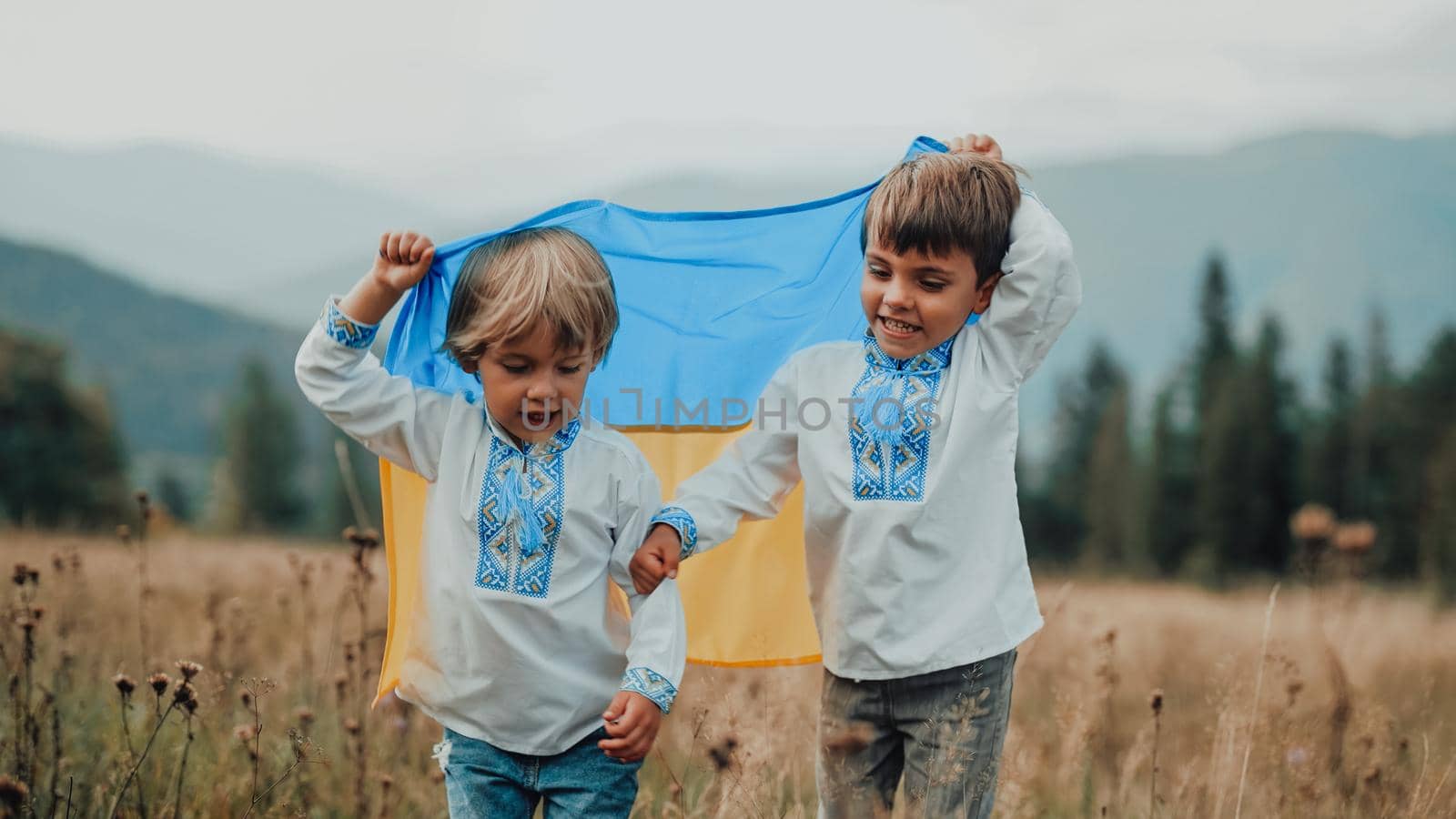 Happy glad boys - Ukrainian patriots children jumping, rejoyces with national flag on meadow of Carpathian mountain. Ukraine, family, brothers twins, best friends, peace, freedom, win in war. by kristina_kokhanova