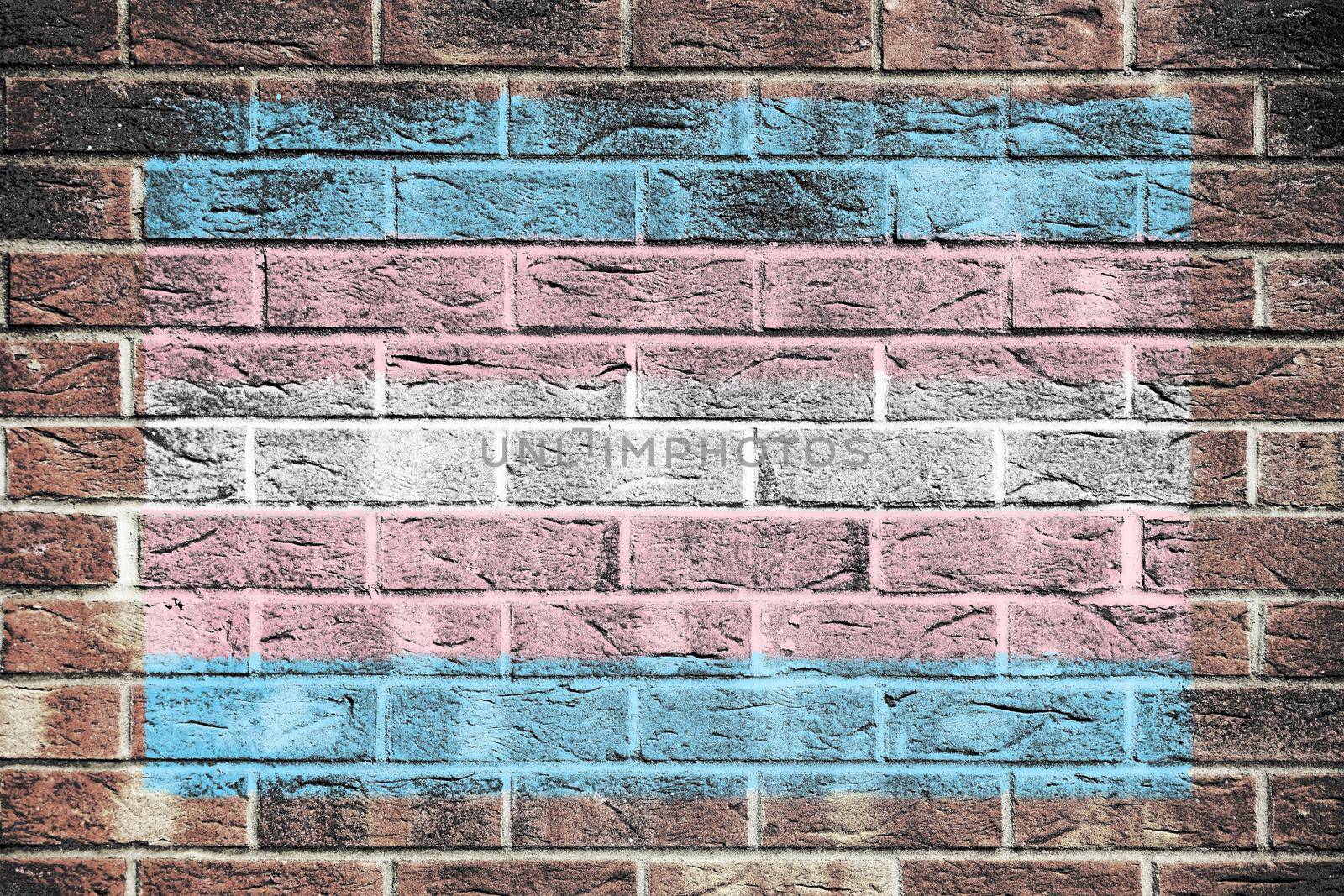 A Transgender Pride Flag on a brick wall background blue white pink stripes