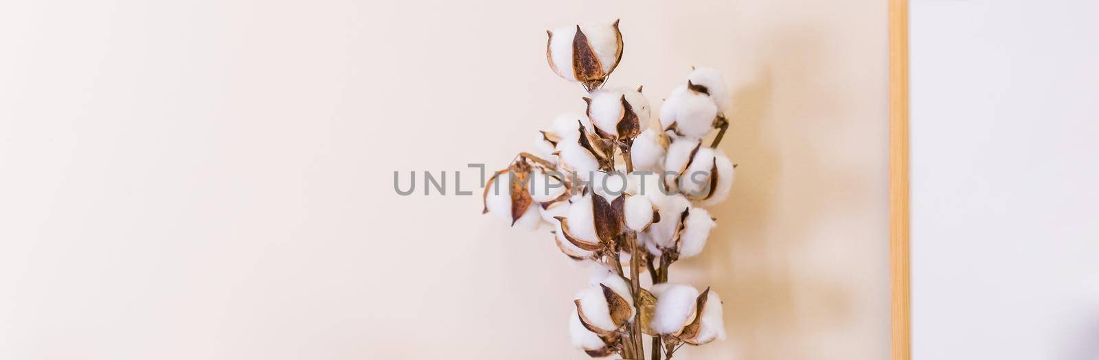 a bouquet of cotton flowers on a soft pastel fabric background. flat lay. dry herbs. top view. copy space.