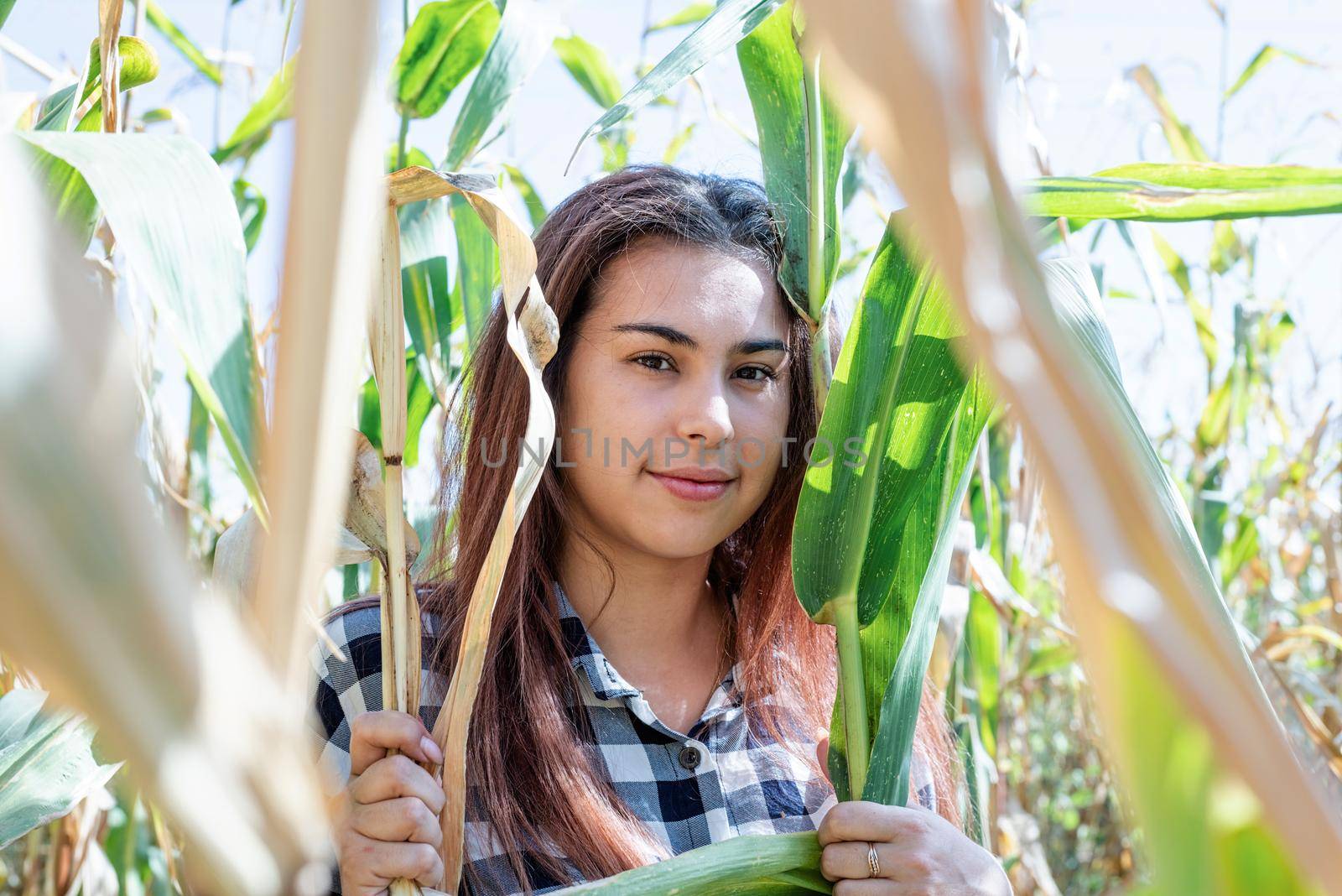 Cheerful female caucasian woman in the corn crop by Desperada