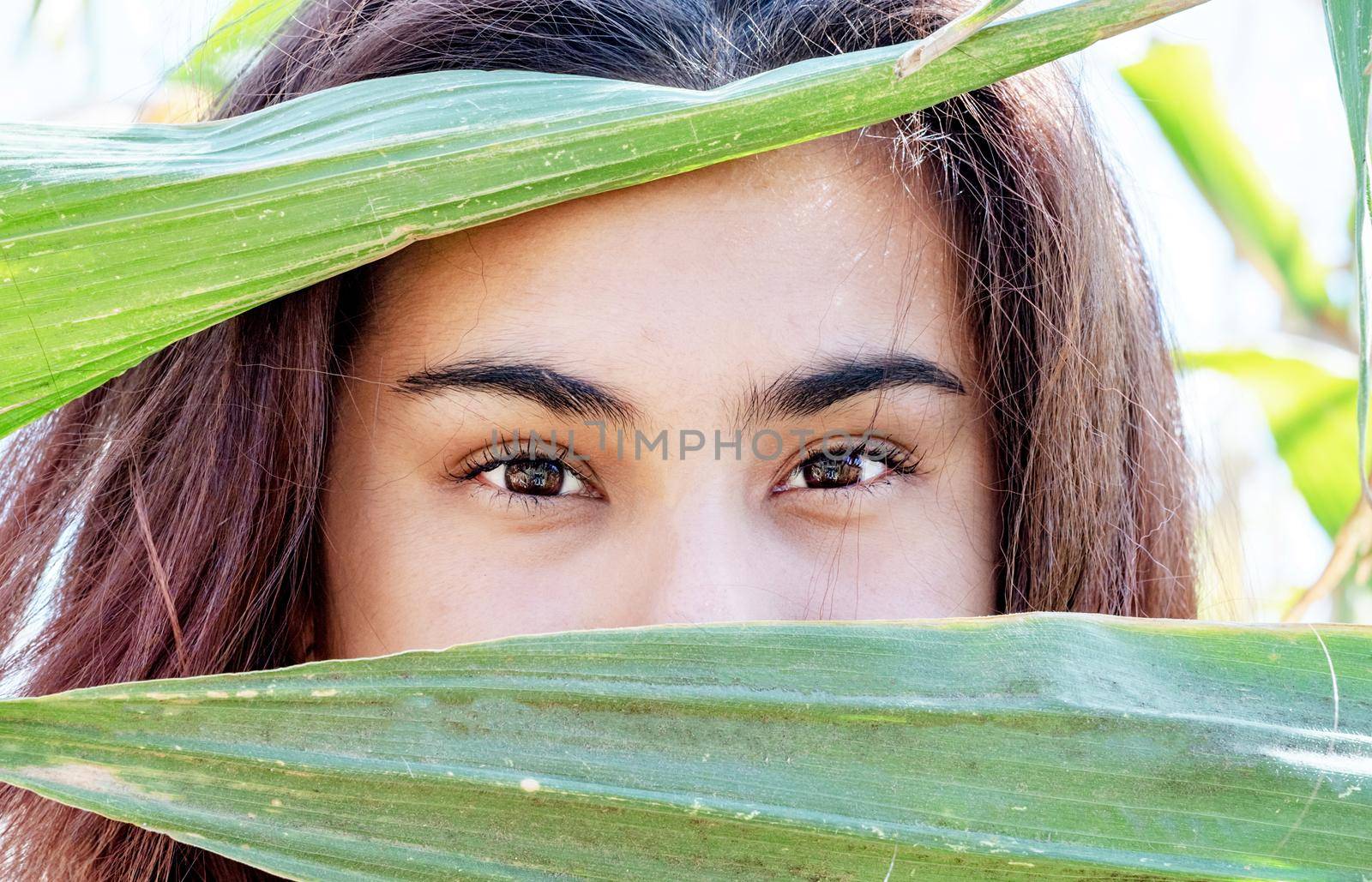 agriculture and cultivation concept. Countryside. closeup shot of caucasian woman covering face with corn leaves