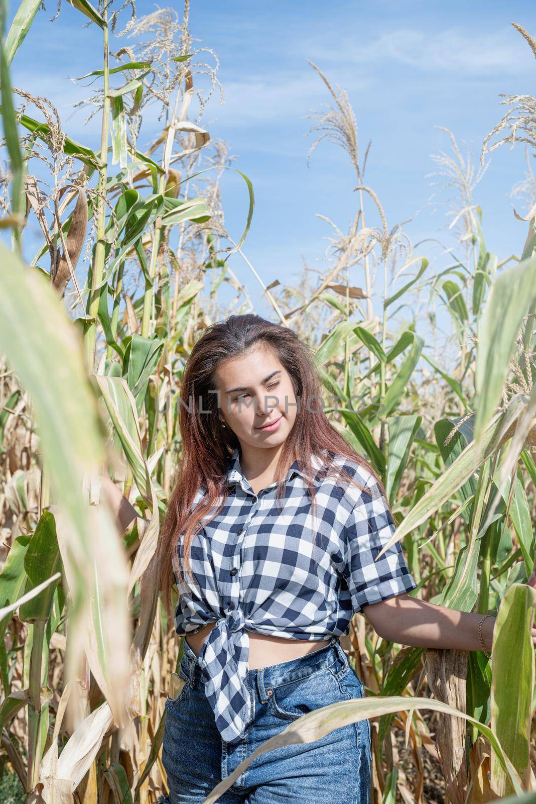 Cheerful female caucasian woman in the corn crop by Desperada