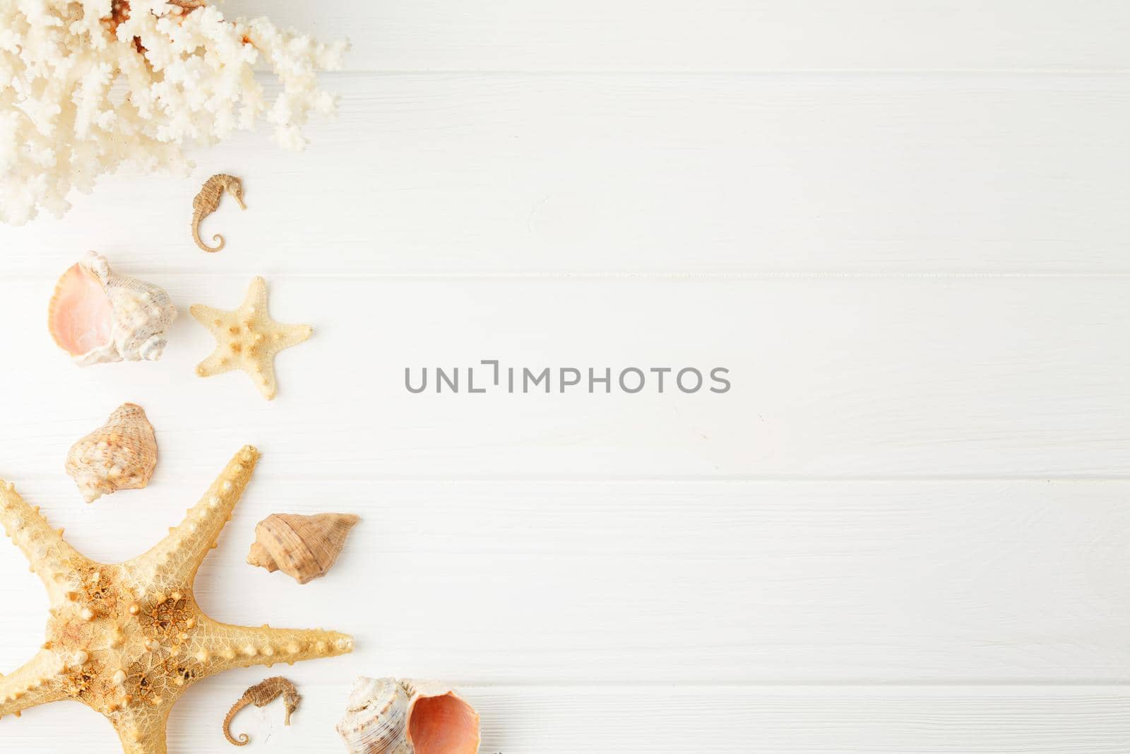Seashells and starfish on white wooden background. Top view. Beach vacation concept. Seahorse and coral souvenir. Flat lay.