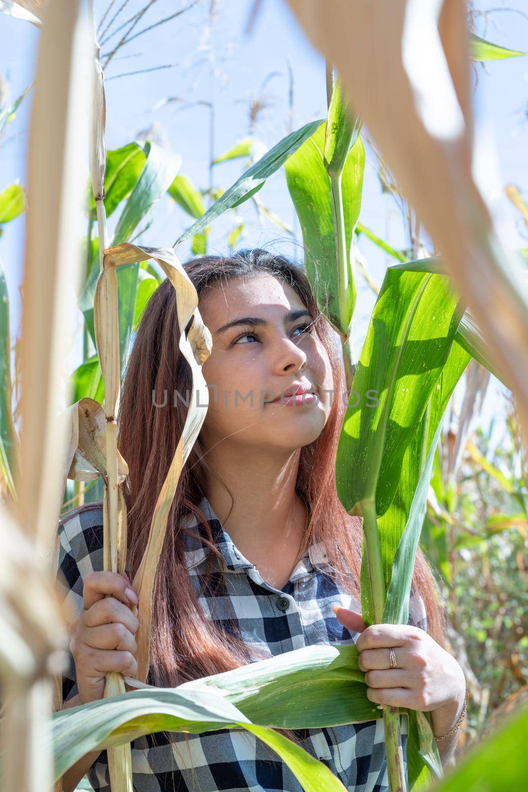 agriculture and cultivation concept. Countryside. Cheerful female caucasian woman in the corn crop