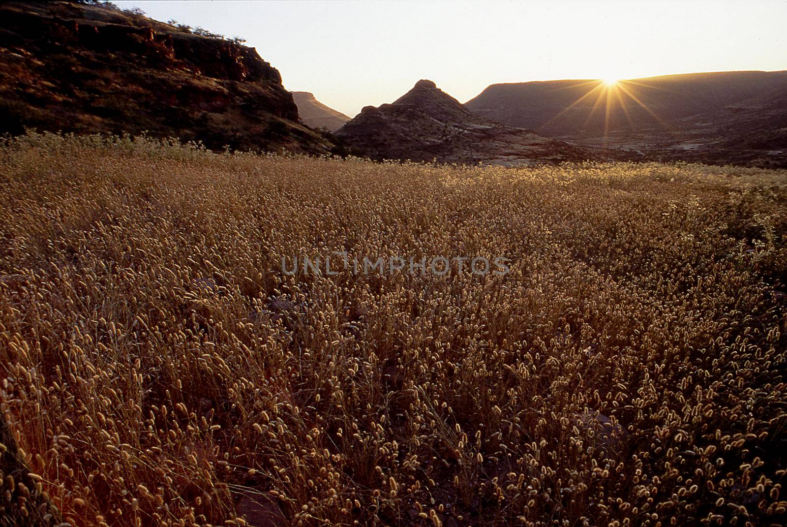 panoramic view of the kunene or kaokoland region