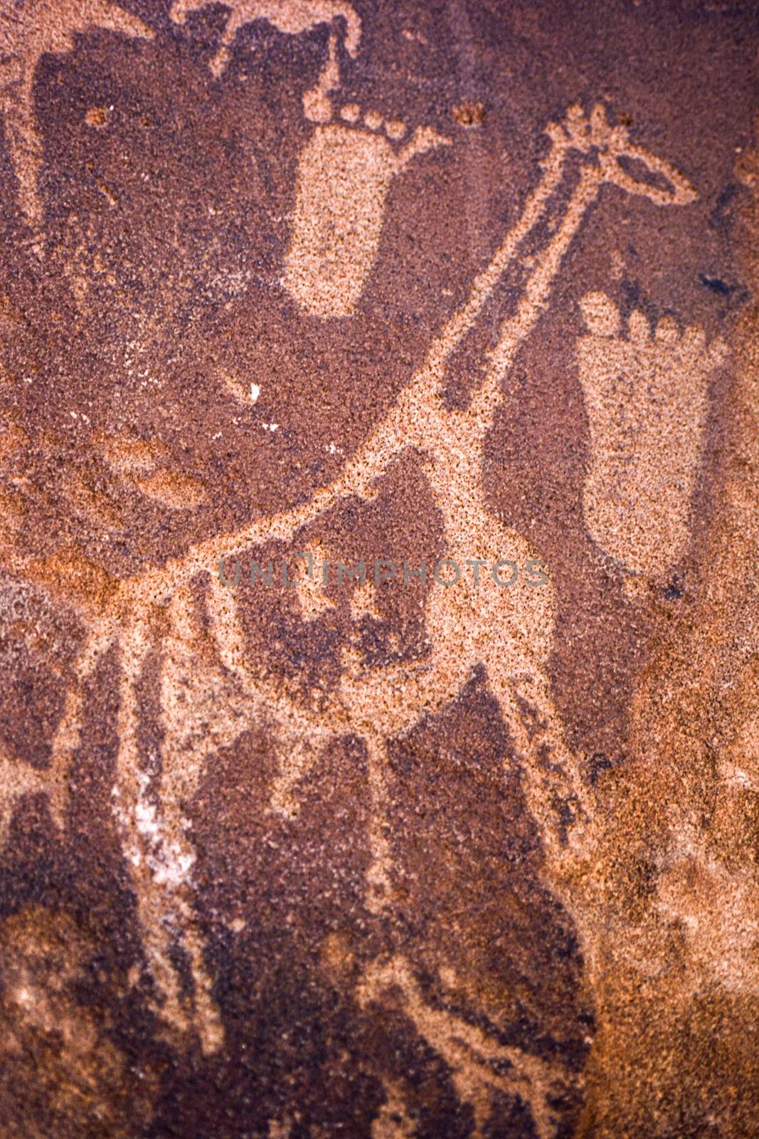 petroglyphs of the archaeological site of twyfelfontein, africa, namibia
