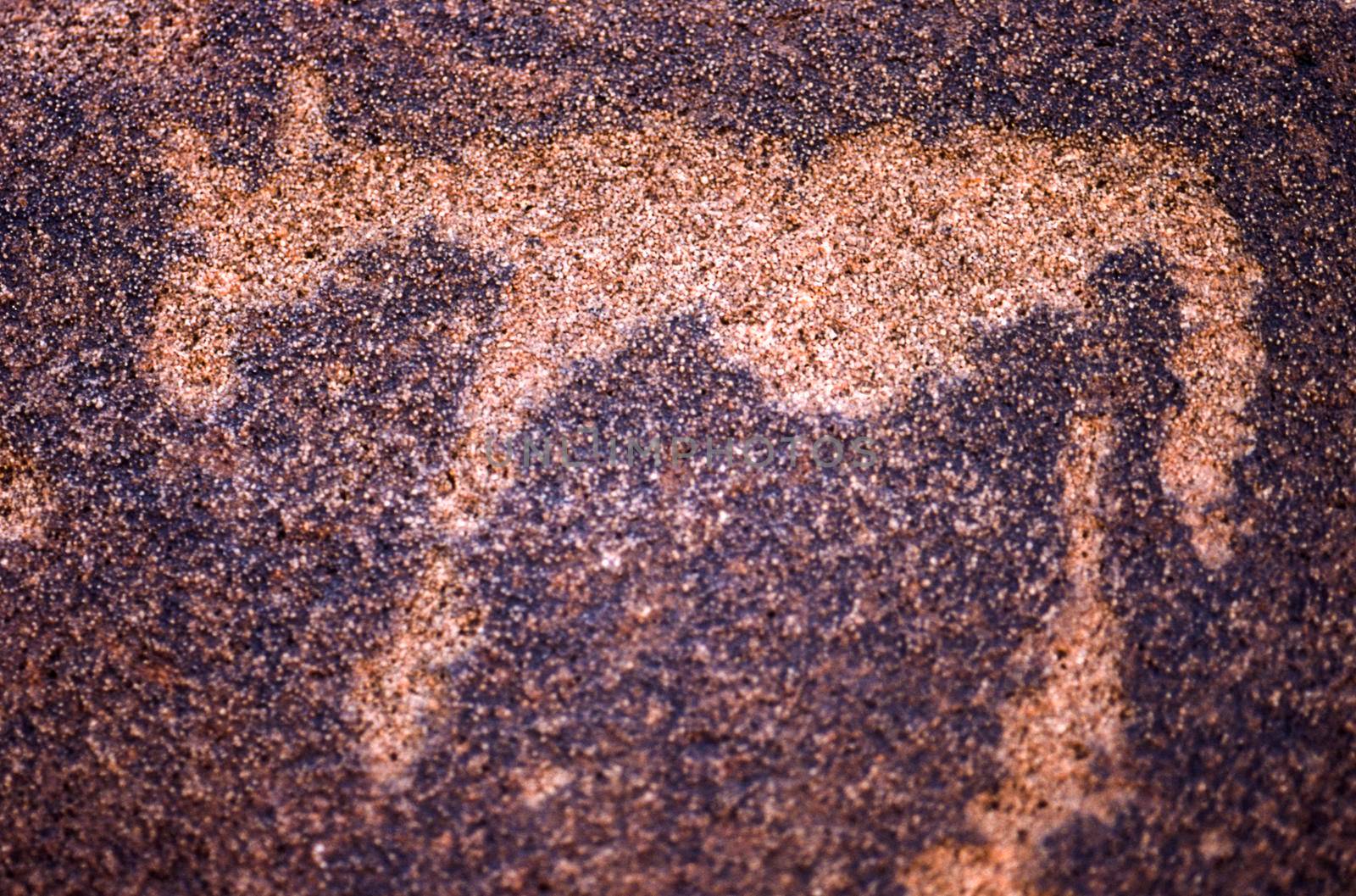 petroglyphs of the archaeological site of twyfelfontein, africa, namibia