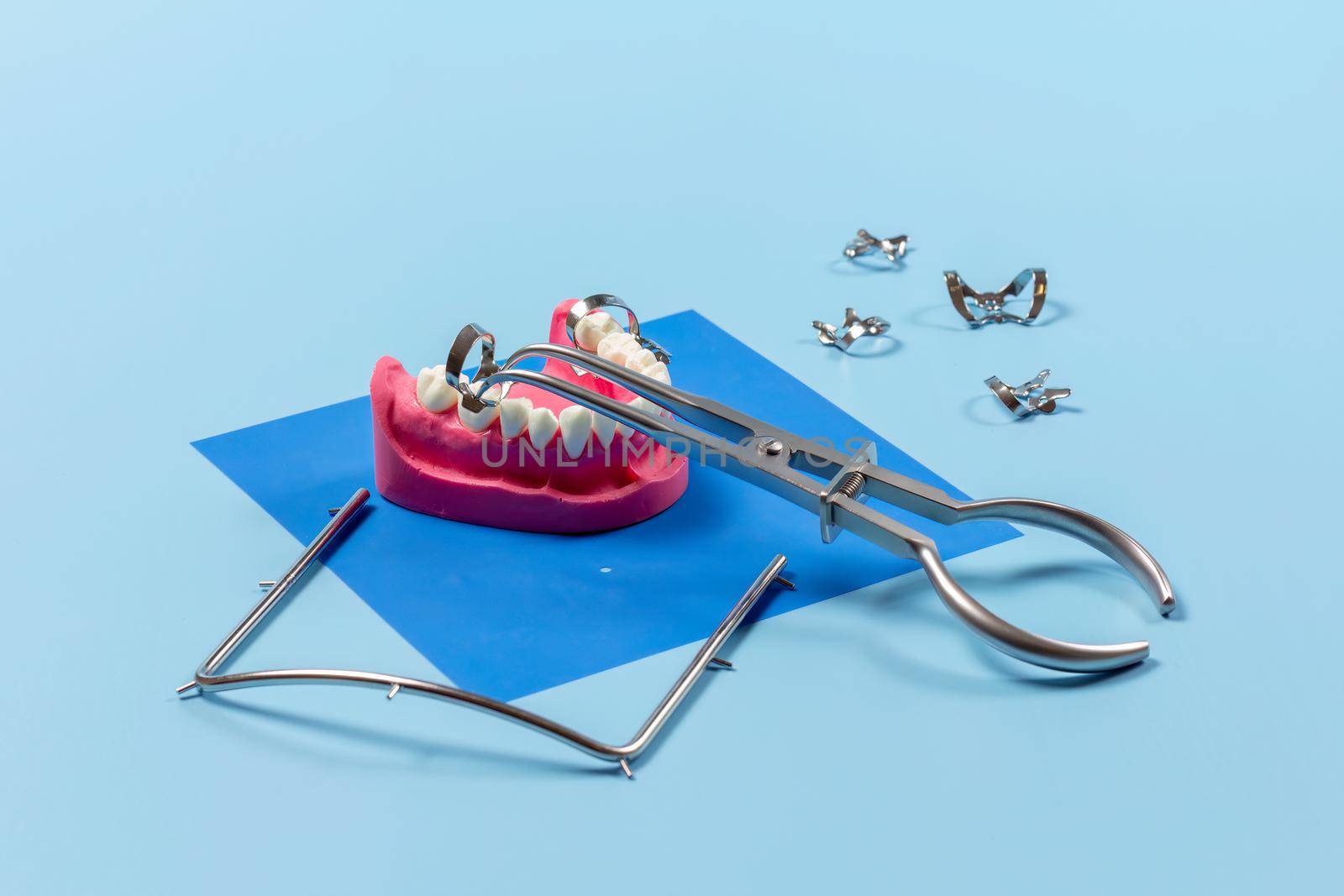 Layout of a human jaw and the rubber dam forceps with the clamps, the metal frame on the blue rubber dam. Medical tools concept.