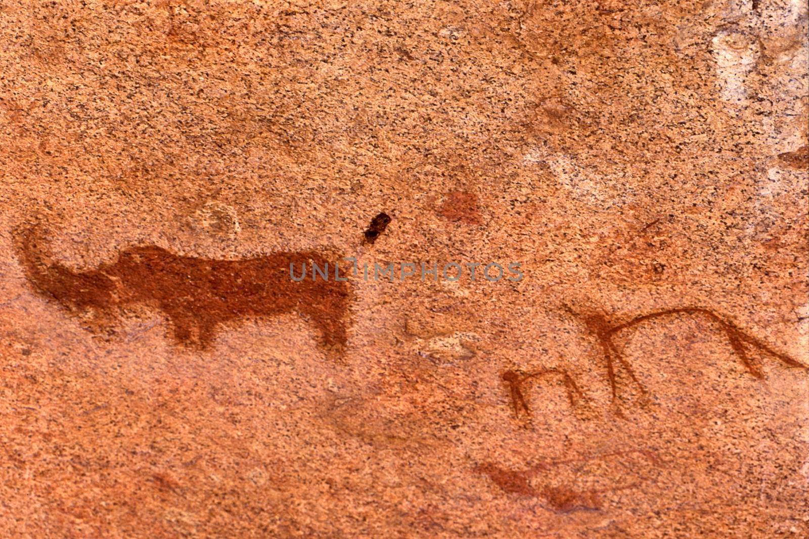 Rock Paintings Spitzkoppe Namibia africa