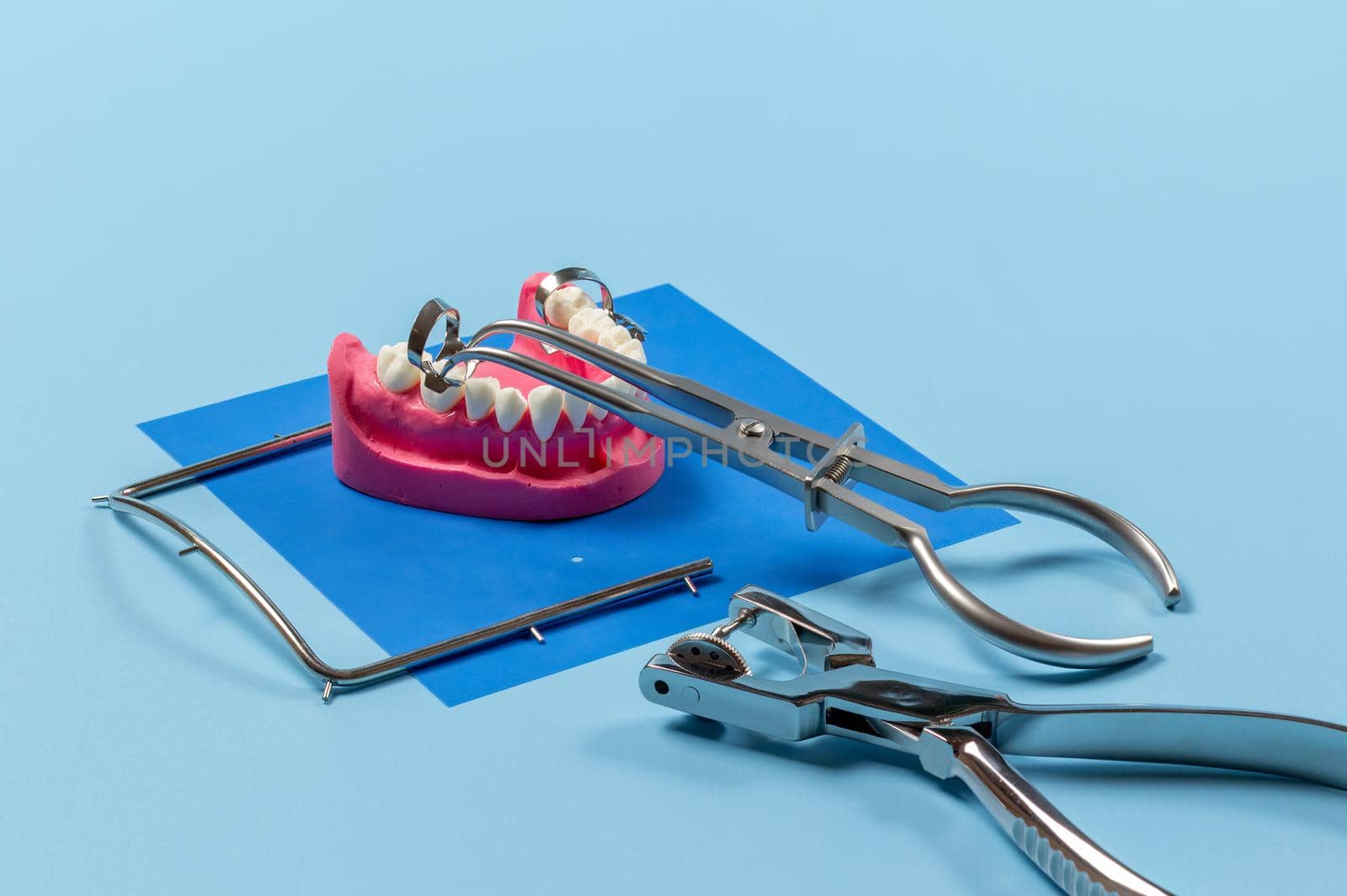 Layout of human jaw, the dental hole punch, the metal frame and the rubber dam forceps on the blue background. Medical tools concept.