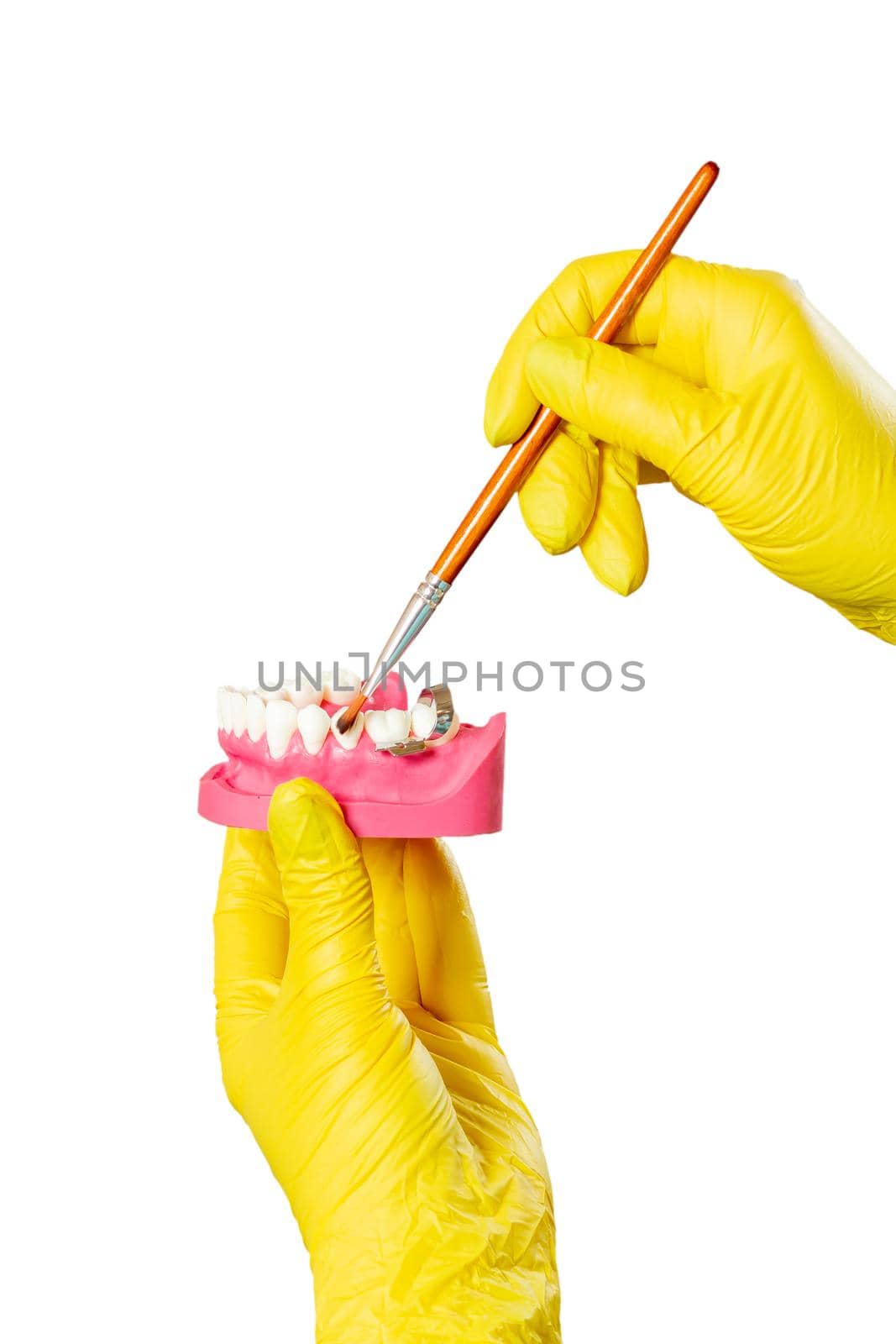 Close-up view of dentist's hands in latex gloves with the layout of human jaw and the brush. Medical tools concept.