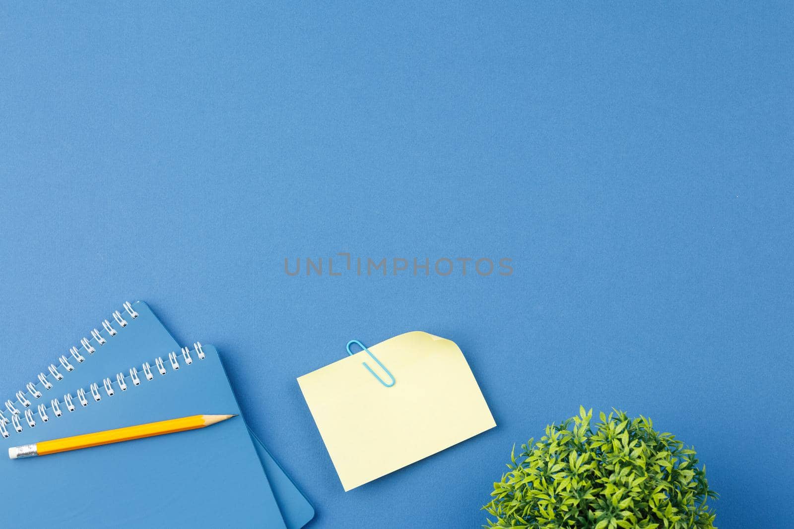 Notepad, pencile, plant and note paper. by alexxndr