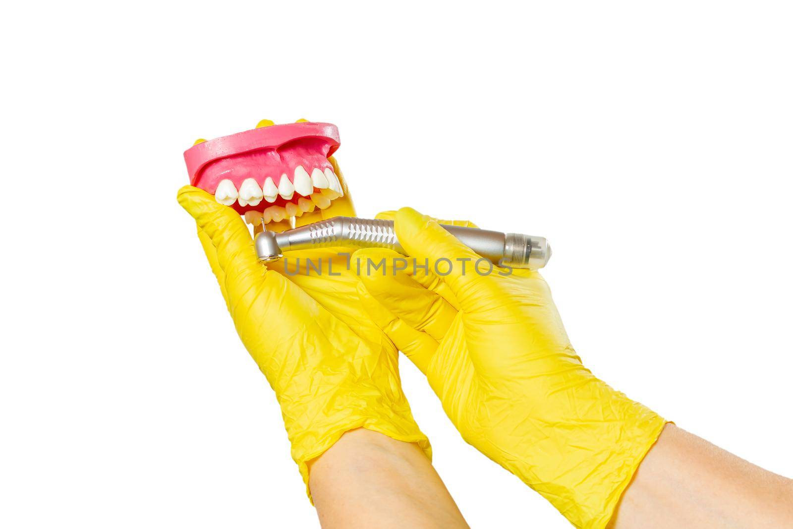 Head of high-speed dental handpiece with bur and the layout of human jaw in dentist's hands on the white isolated background. Dental instruments for dental treatment. Close-up view.